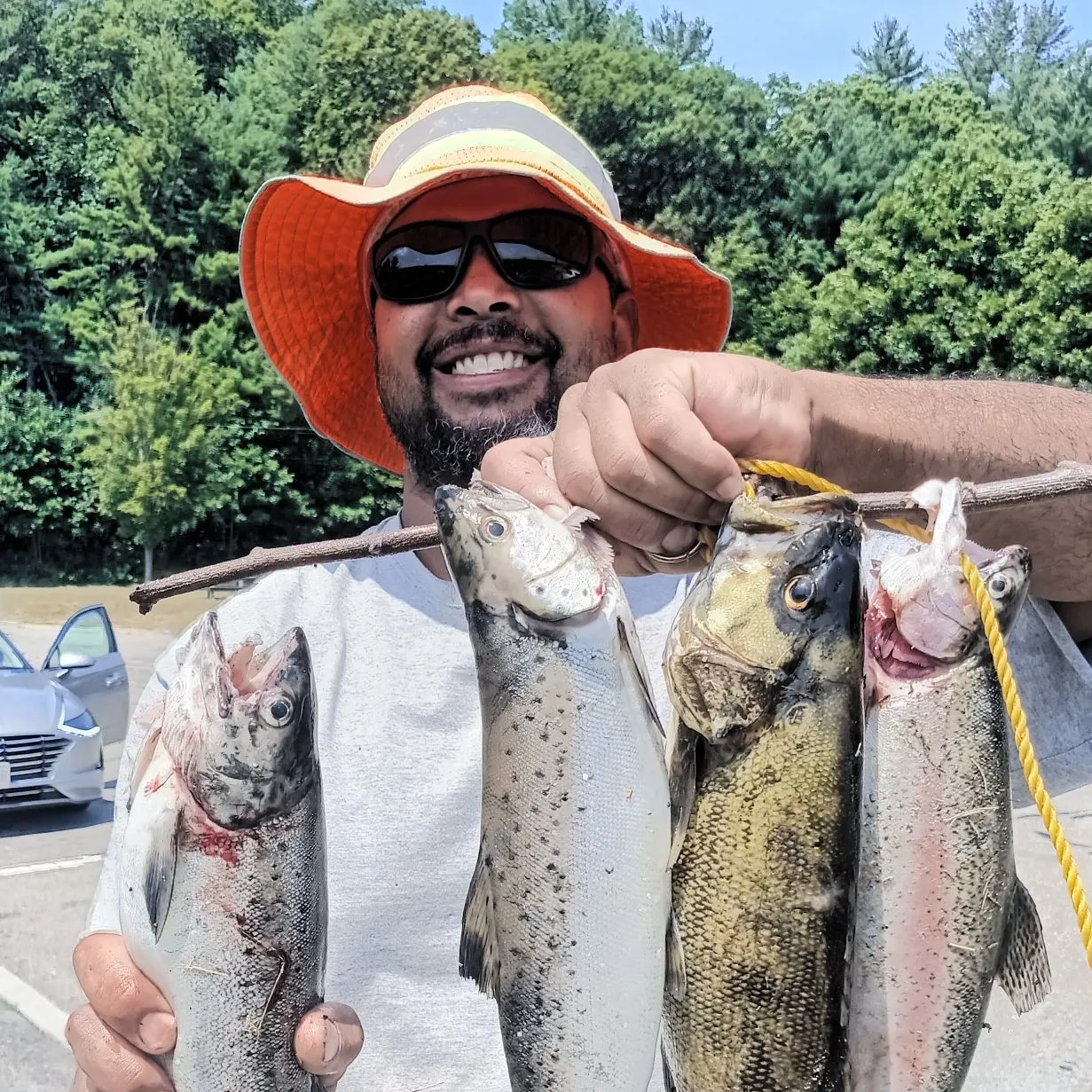 recently logged catches