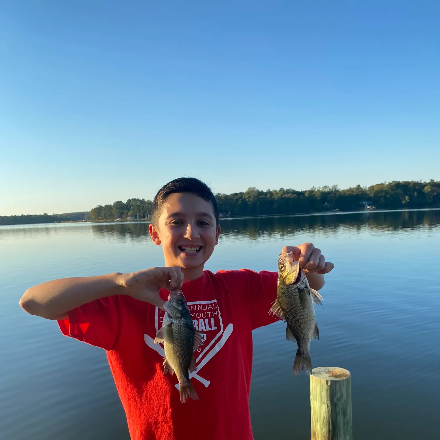 White perch caught on Fishbrain