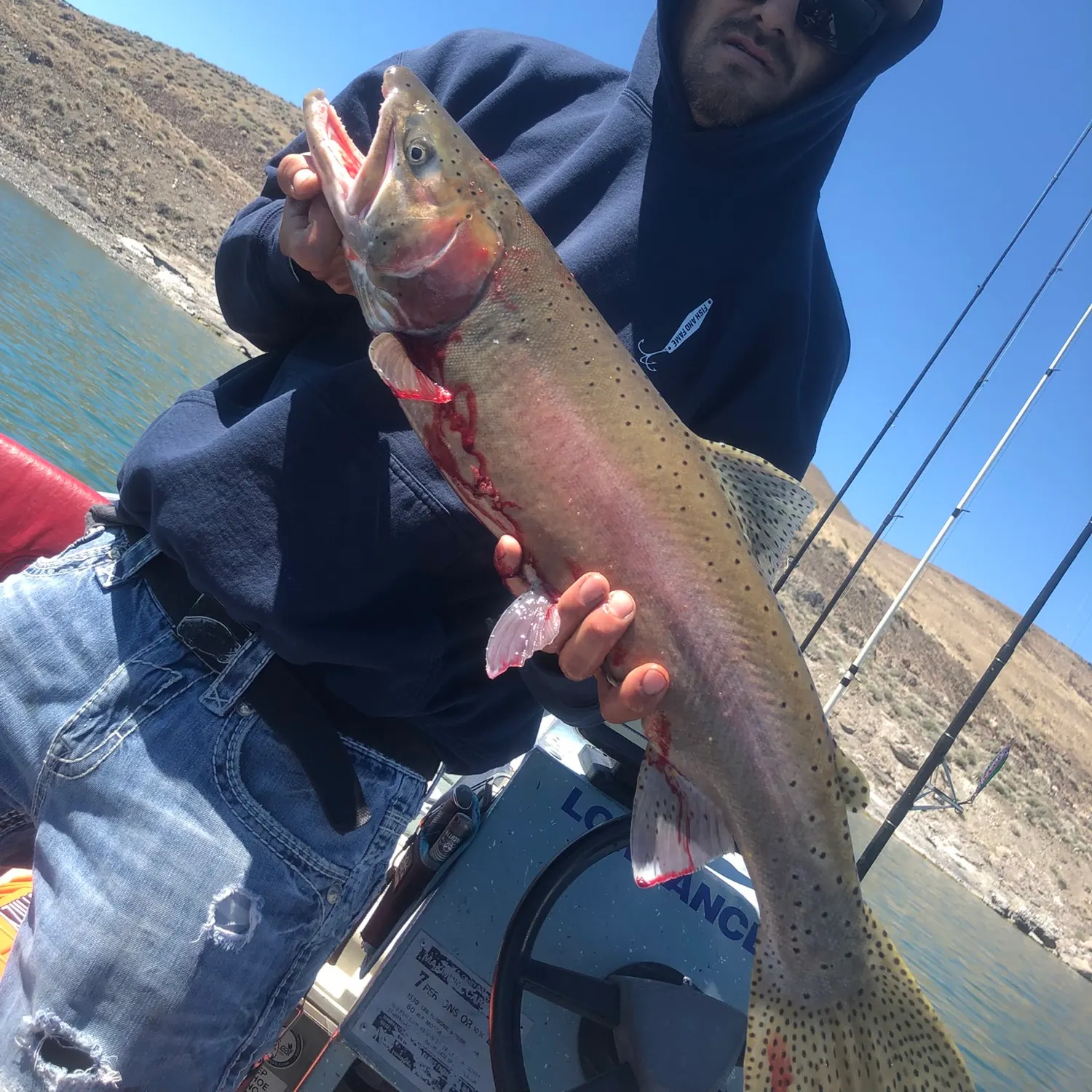most liked catch image