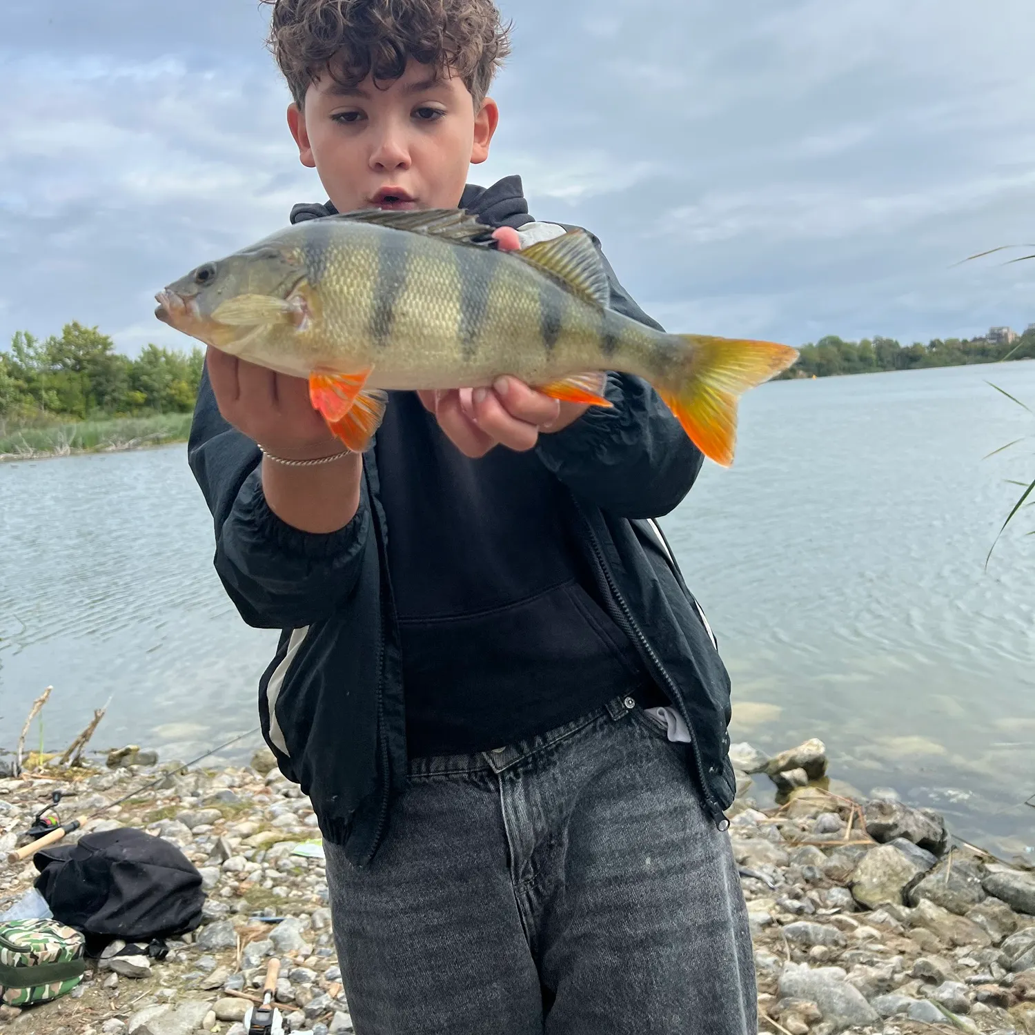 European perch caught on Fishbrain