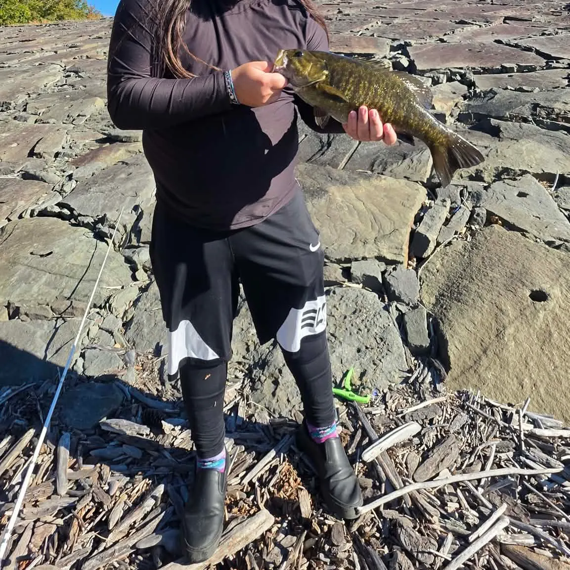 Smallmouth bass caught on Fishbrain