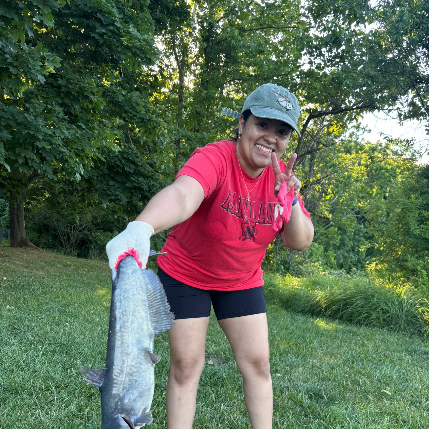 The most recent Blue catfish catches on Fishbrain