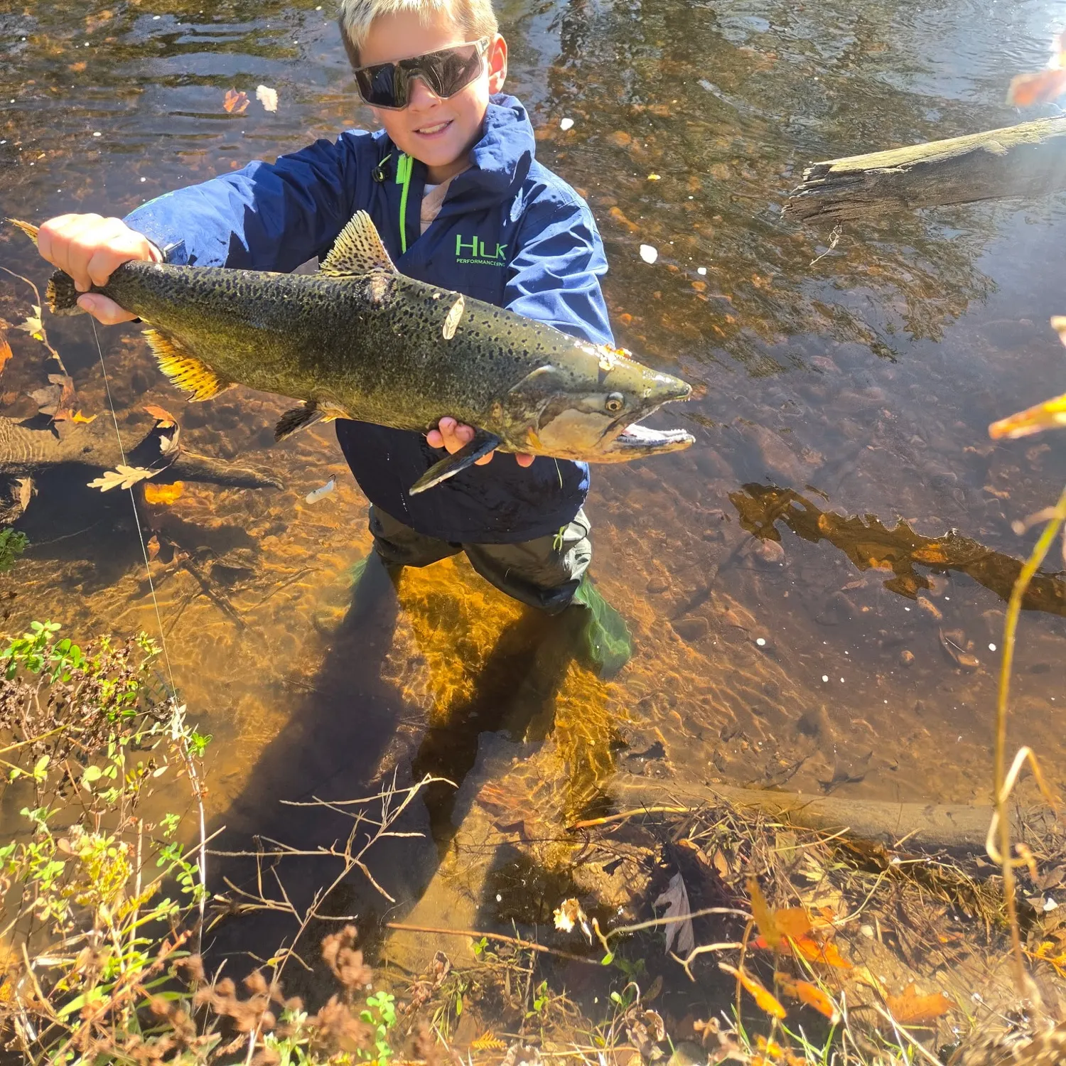 Chinook salmon caught on Fishbrain