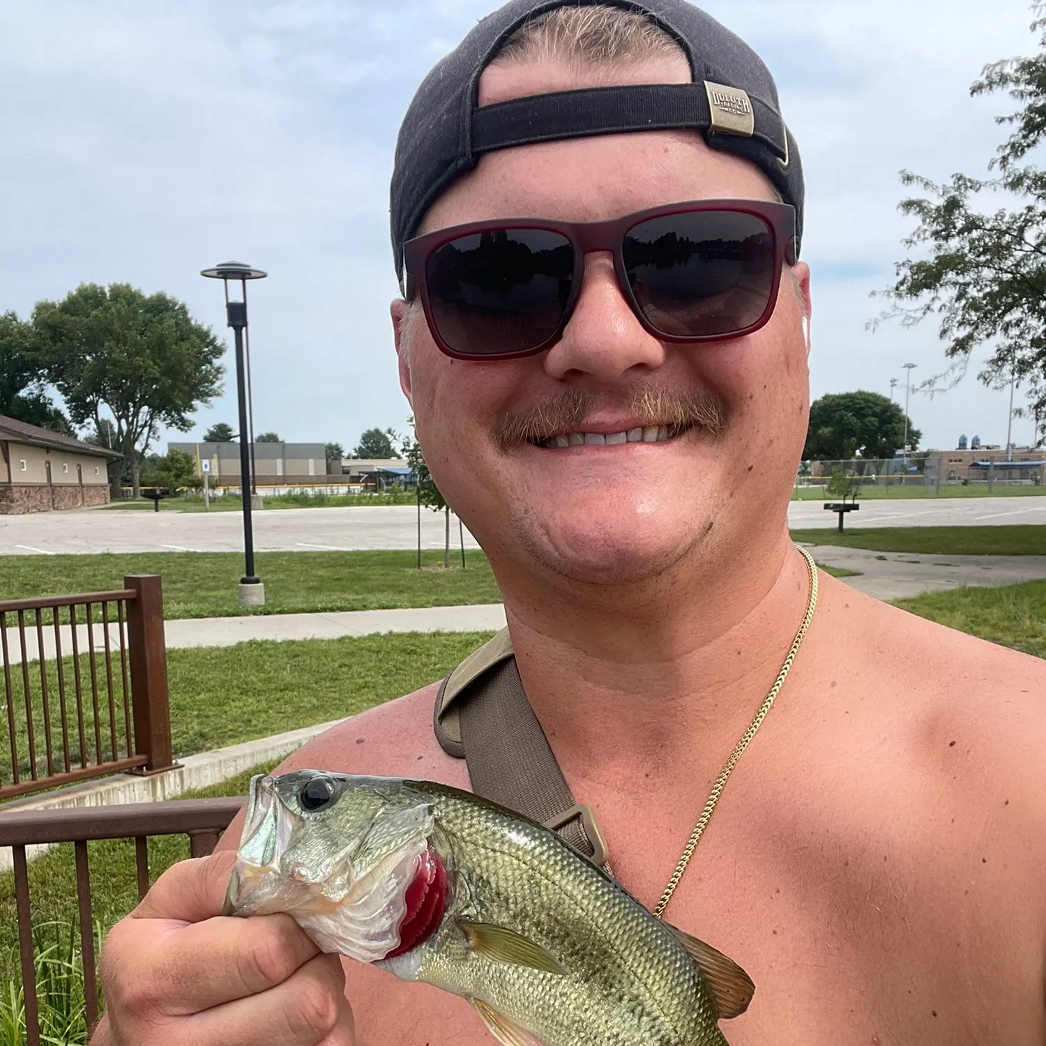 Largemouth bass caught on Fishbrain