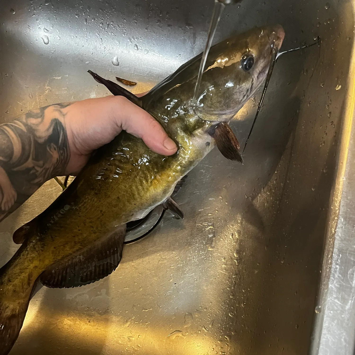 catch