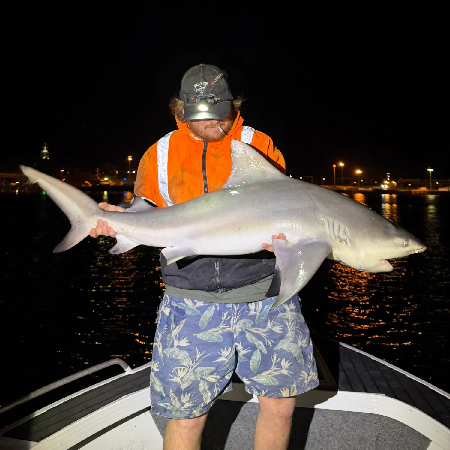 The most recent Bull shark catches on Fishbrain
