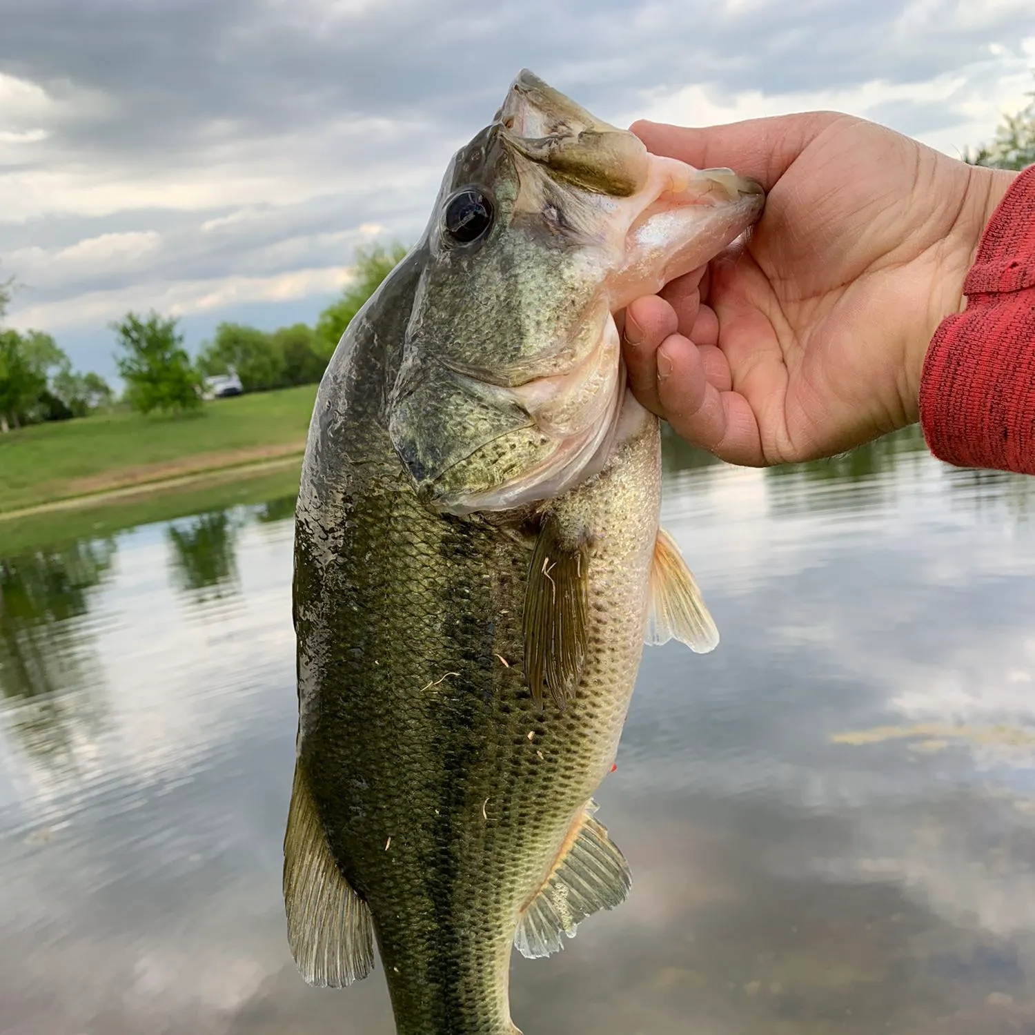 angler catch