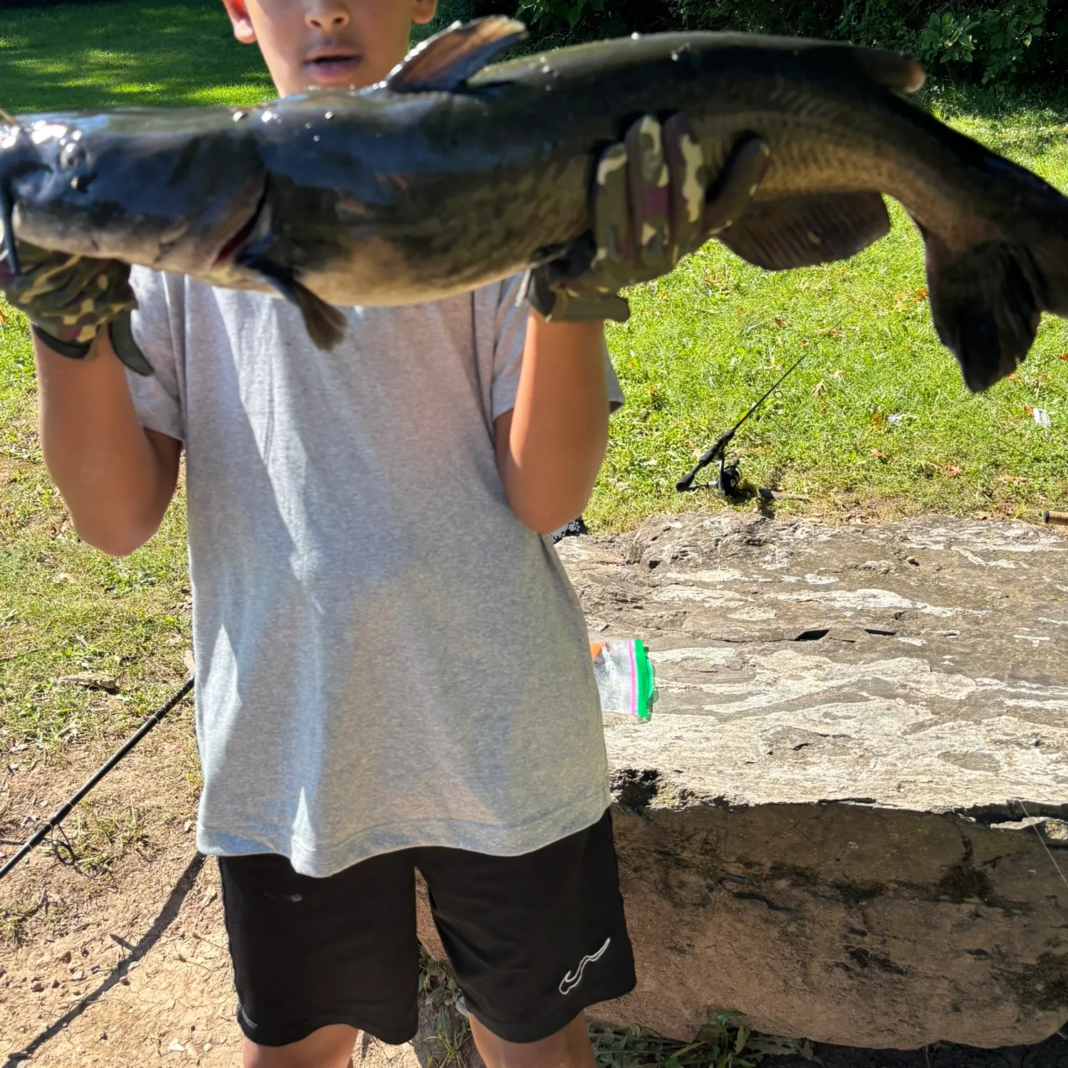 Channel catfish caught on Fishbrain