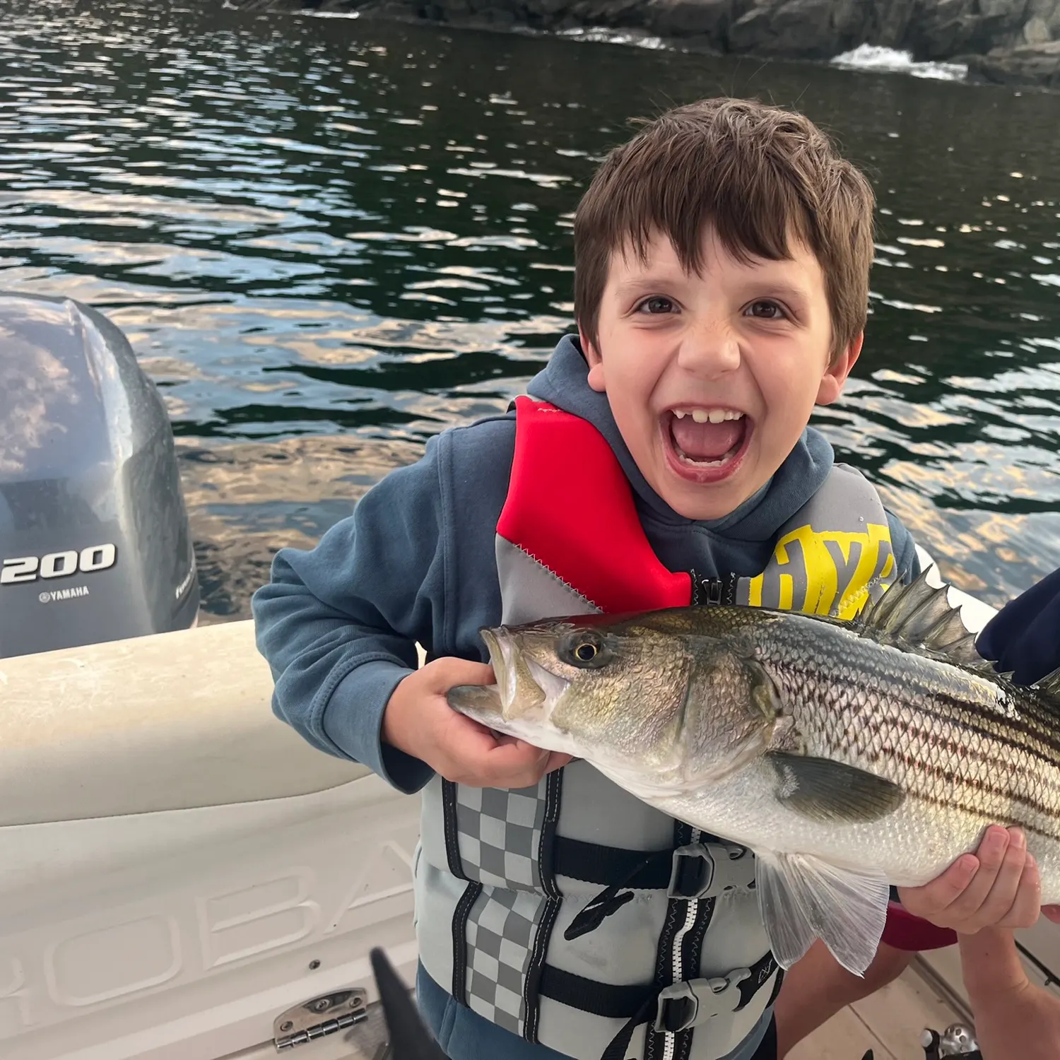 Striped bass caught on Fishbrain