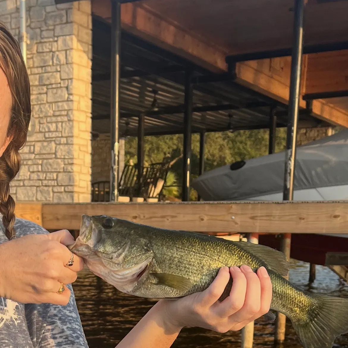 Largemouth bass caught on Fishbrain