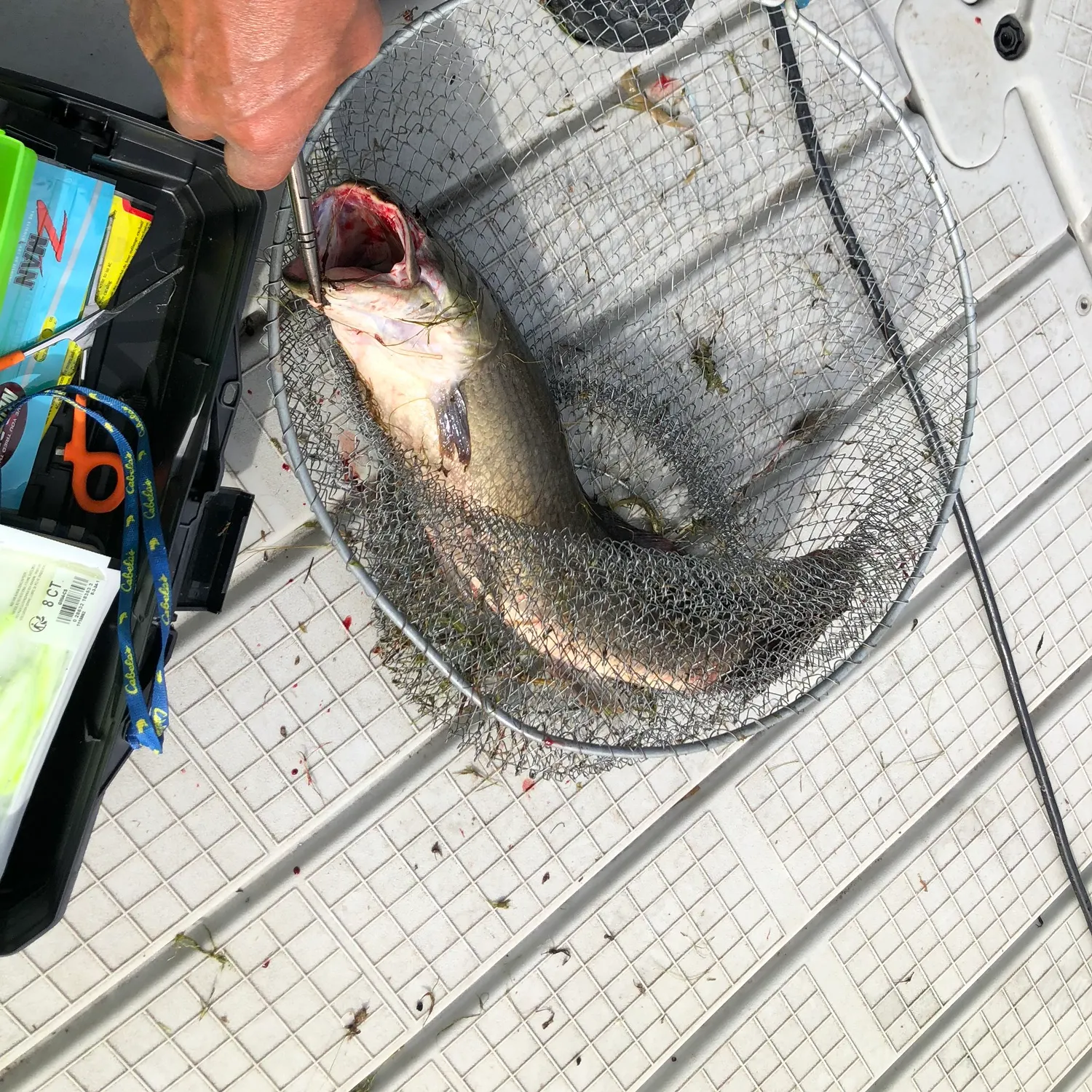 catch