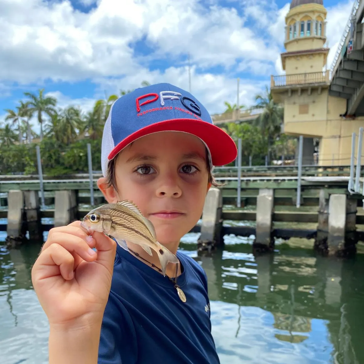 Tomtate grunt caught on Fishbrain