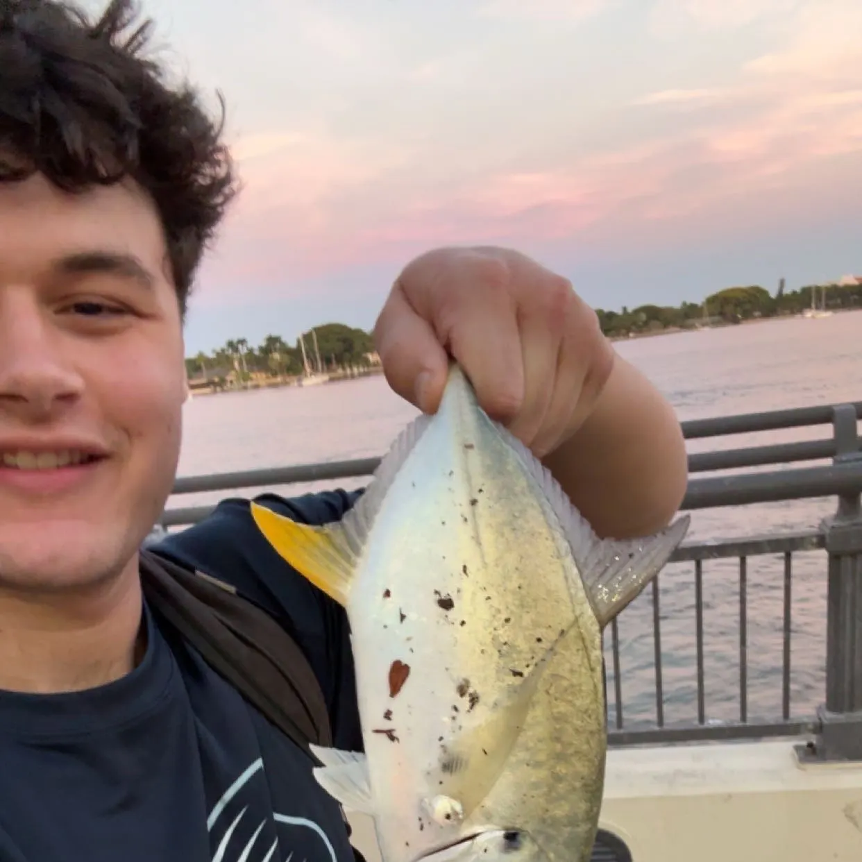 The most recent Crevalle jack catches on Fishbrain
