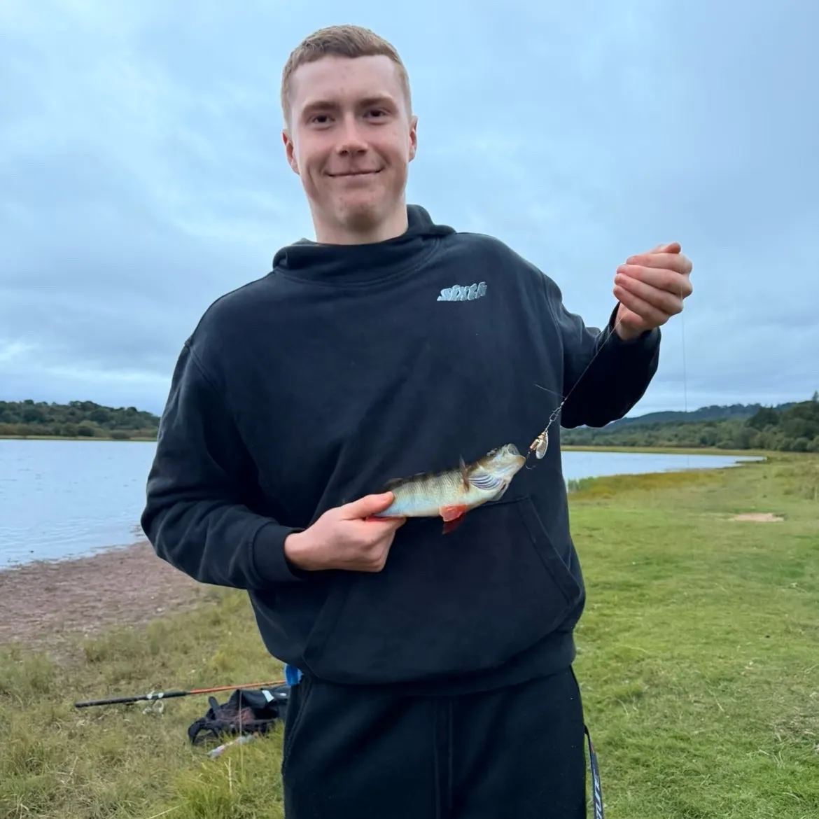 European perch caught on Fishbrain