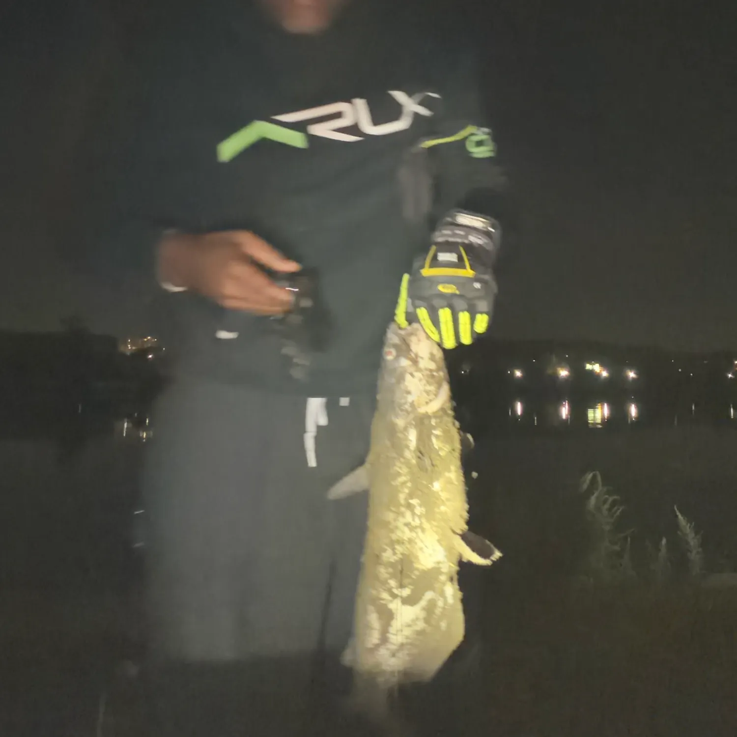 Blue catfish caught on Fishbrain