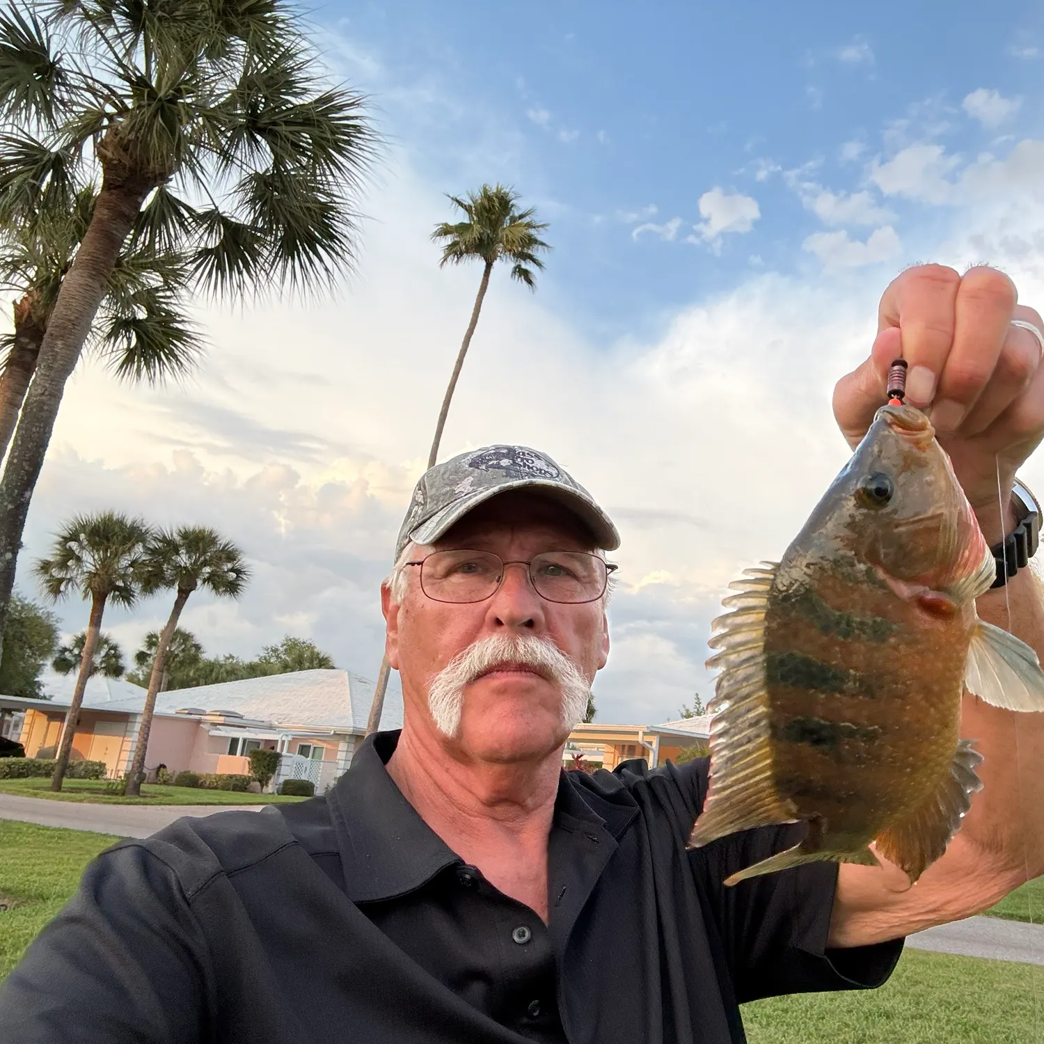 The most recent Mayan cichlid catches on Fishbrain