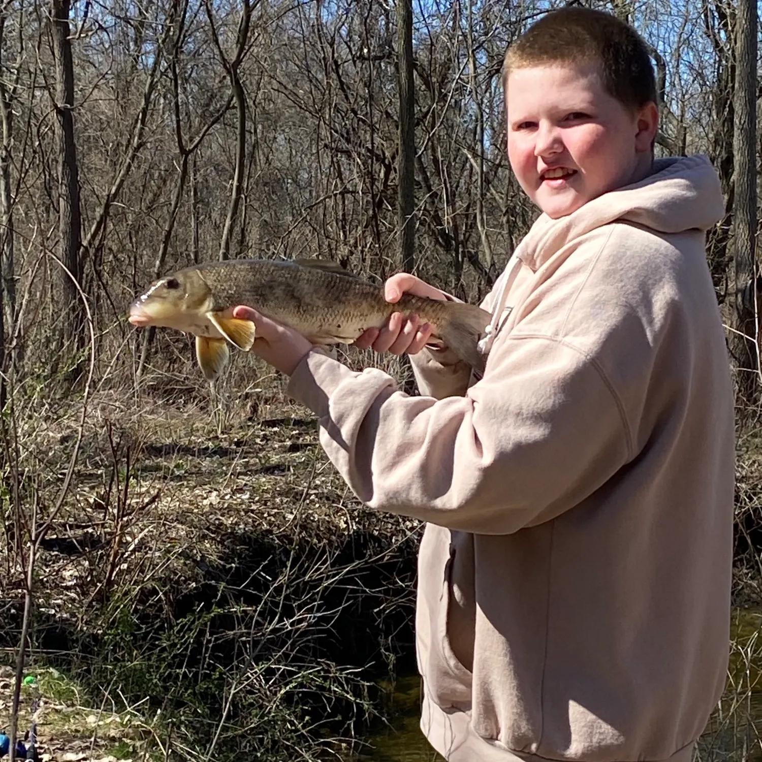 The most recent Northern hogsucker catches on Fishbrain