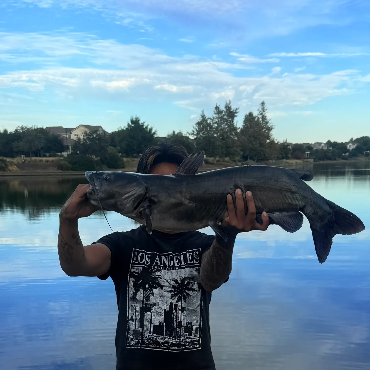 Channel catfish caught on Fishbrain