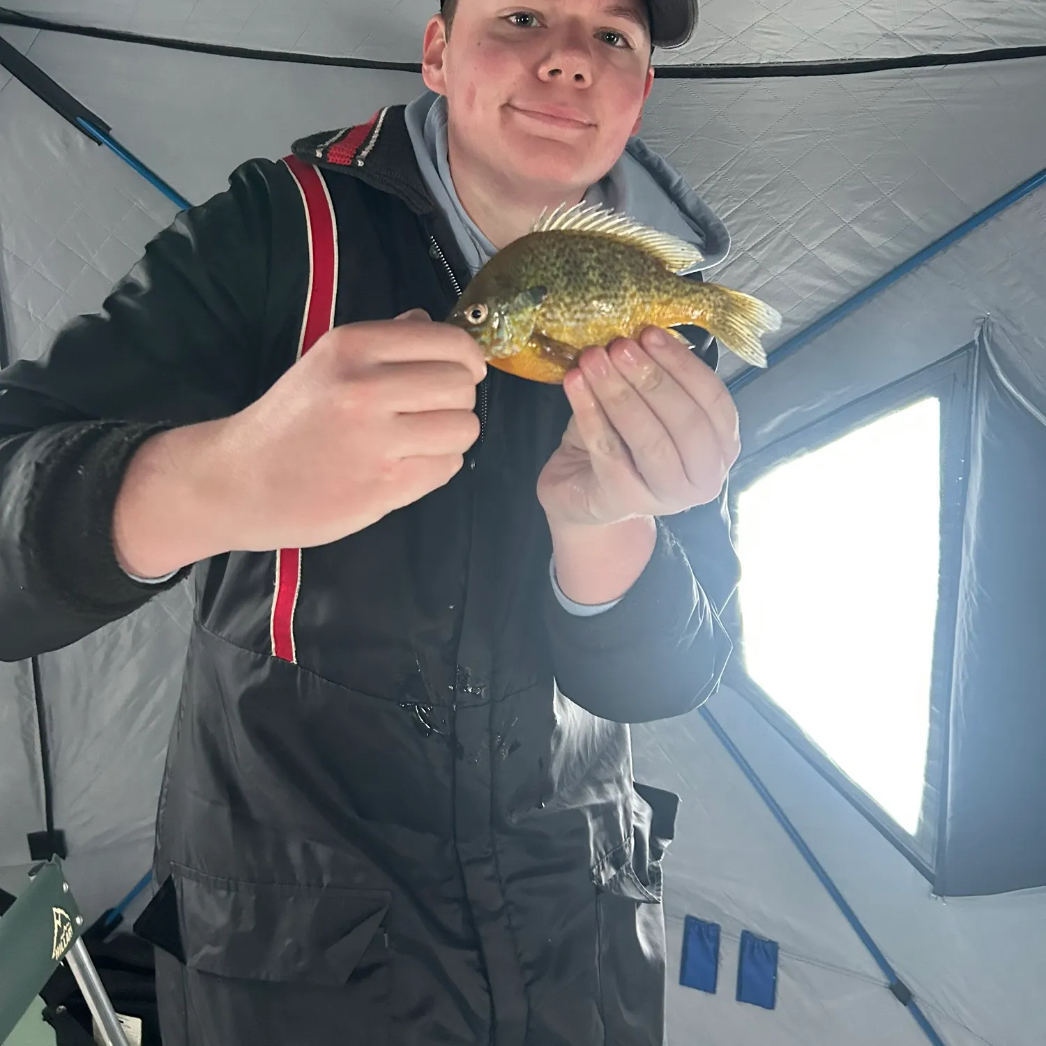 The most recent Redear sunfish catches on Fishbrain