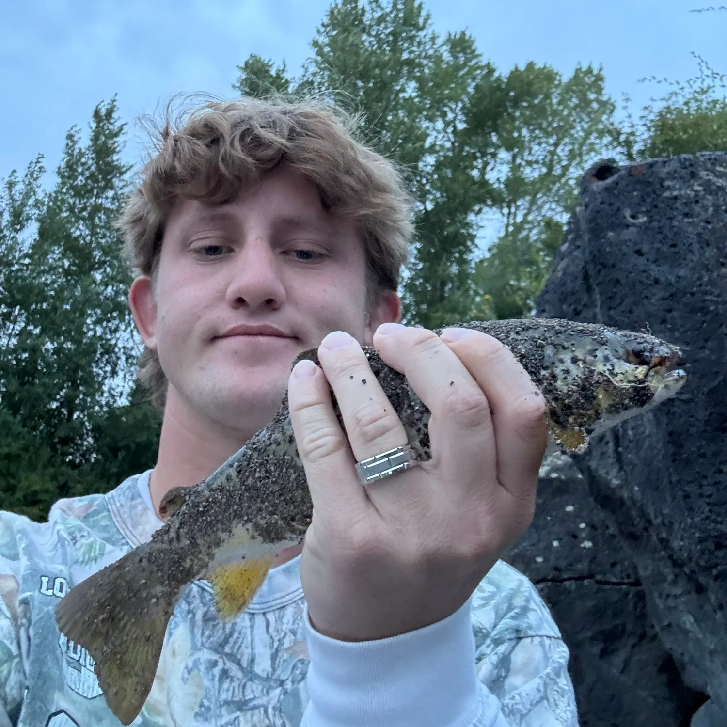 Brown trout caught on Fishbrain