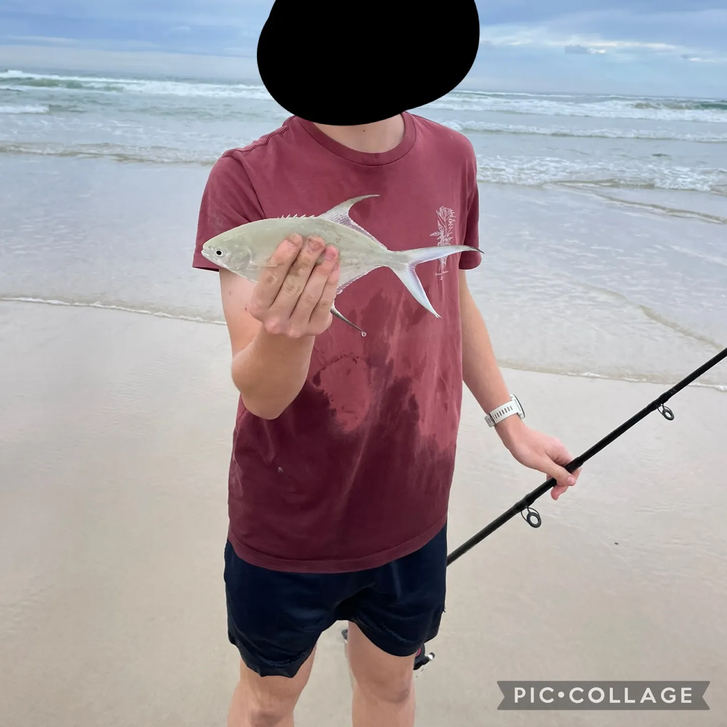 The most recent Smallspotted dart catches on Fishbrain