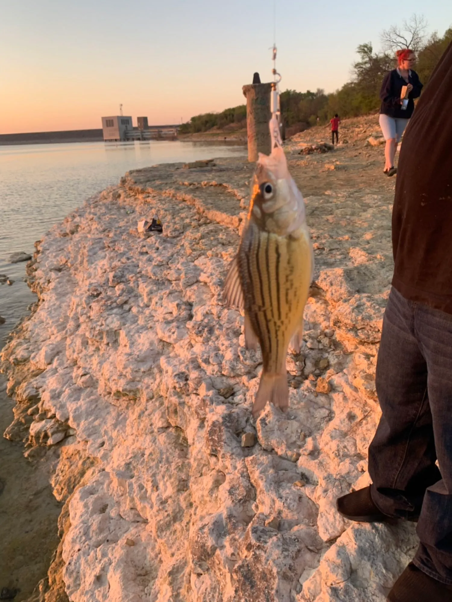 Post image from rbrown8275