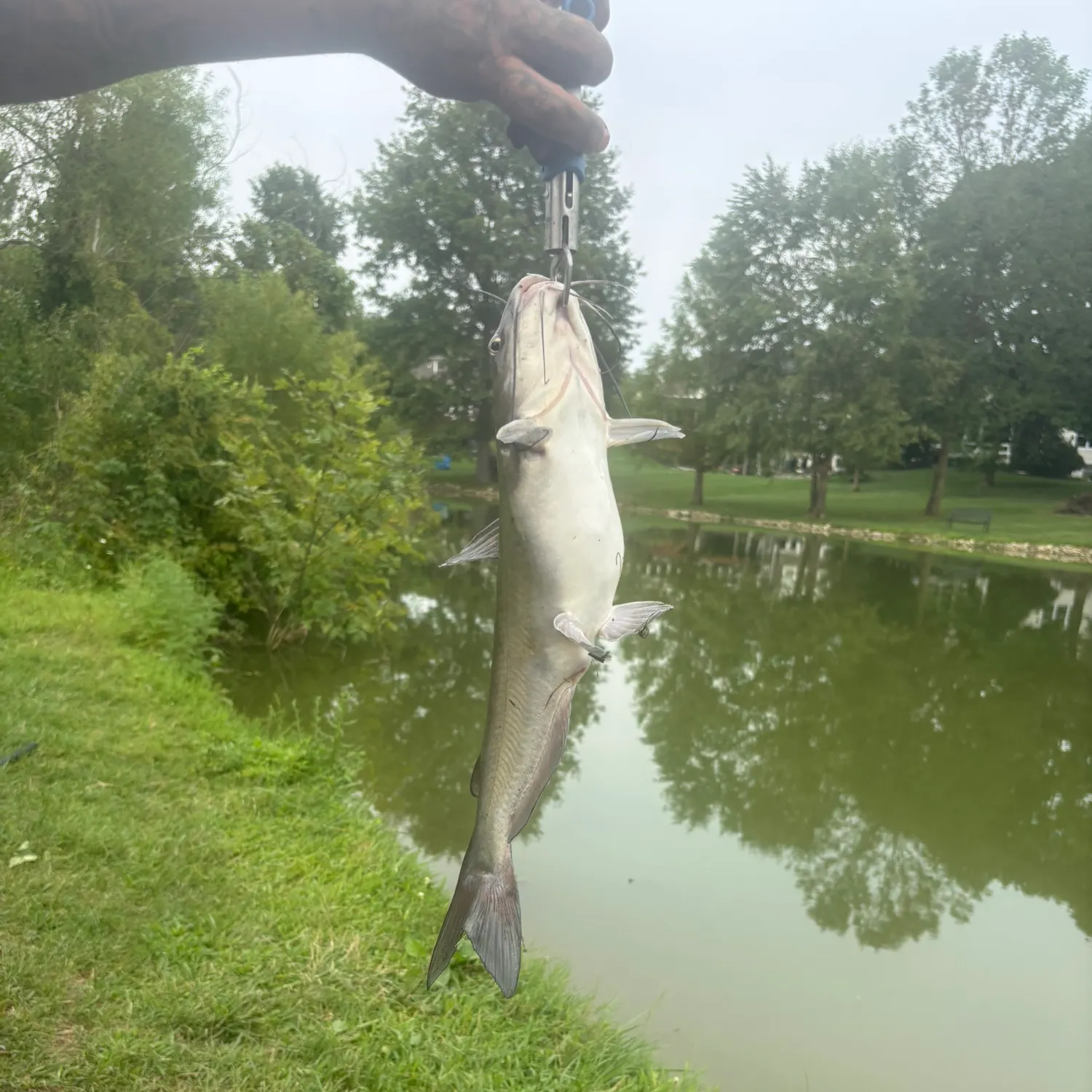 catch