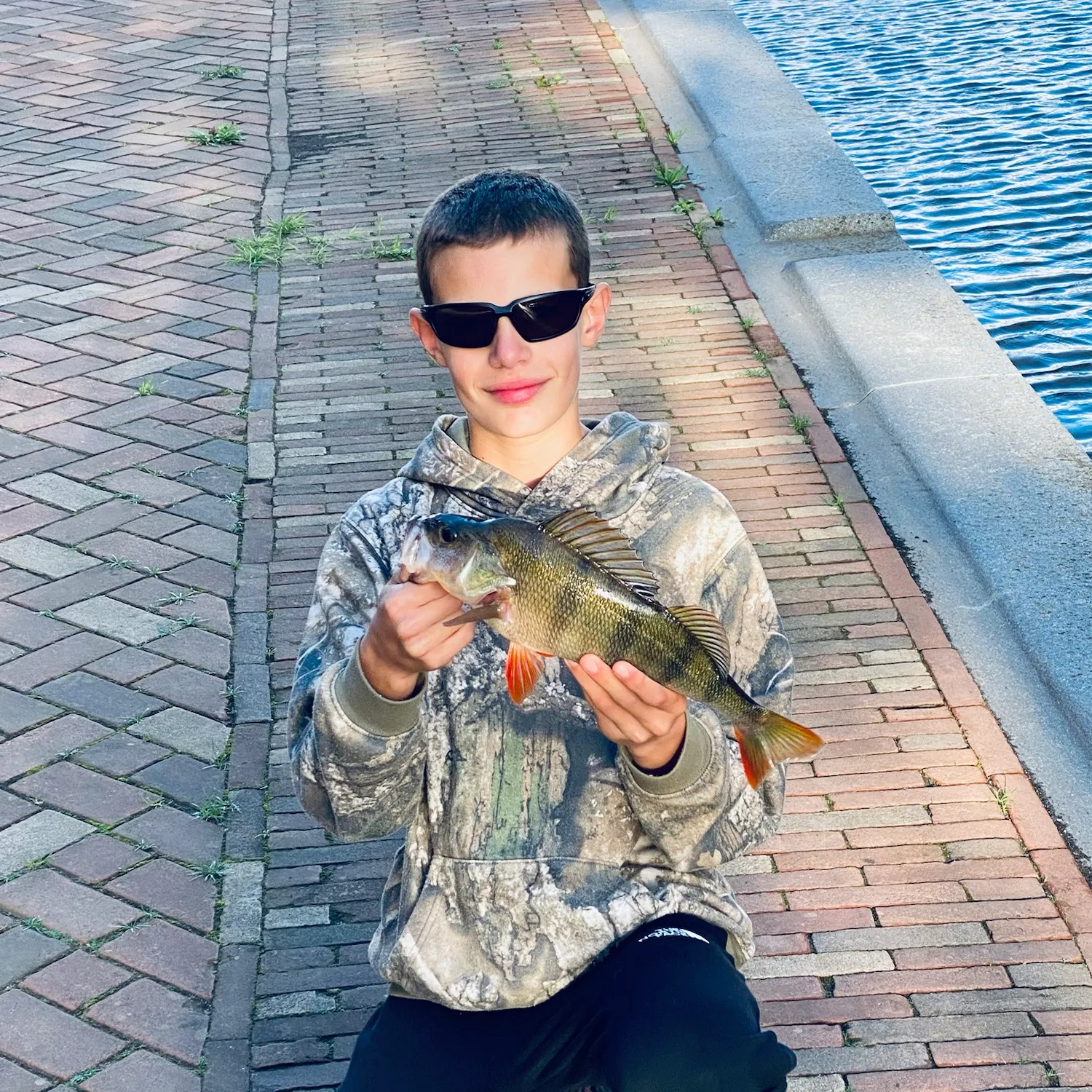 European perch caught on Fishbrain