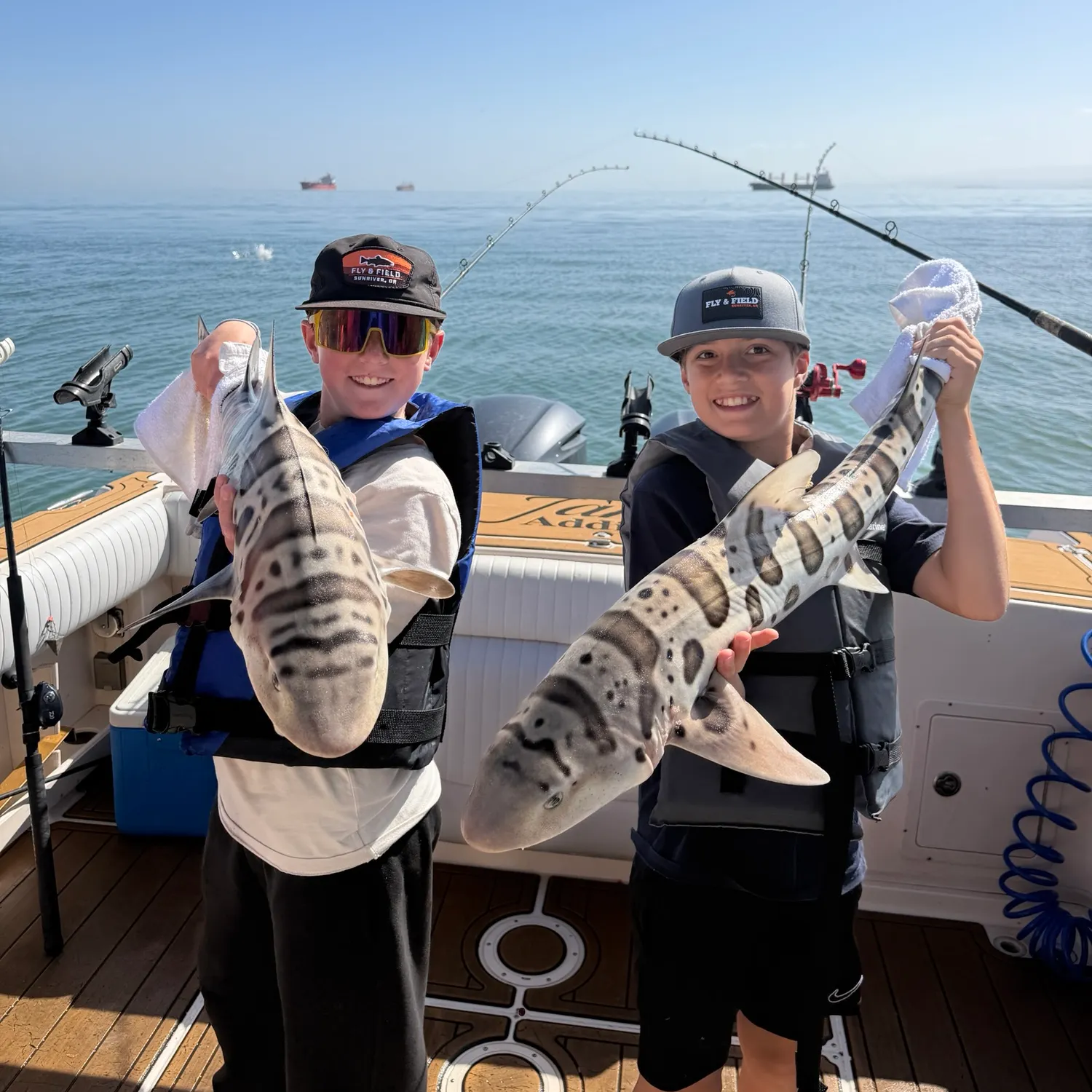 The most recent Leopard shark catches on Fishbrain