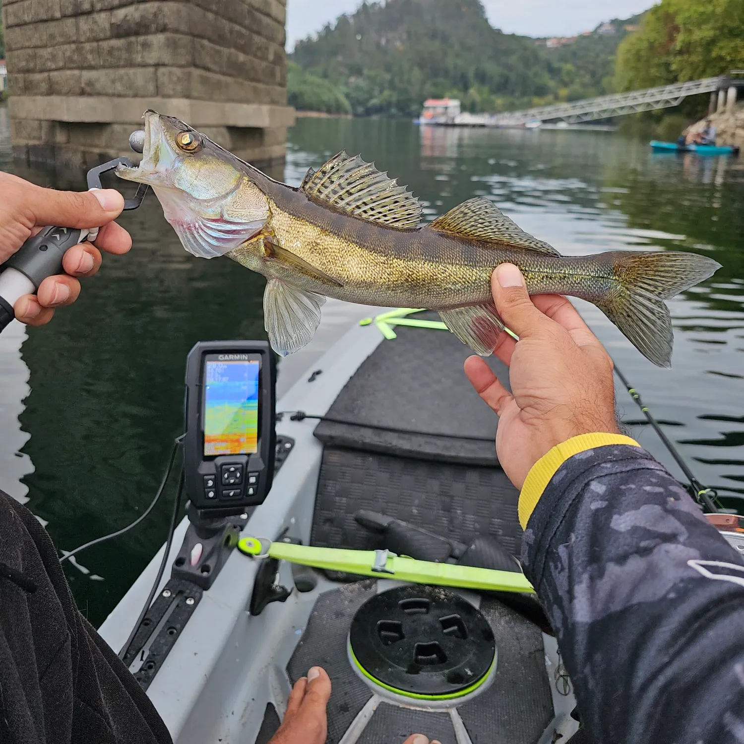 Zander caught on Fishbrain