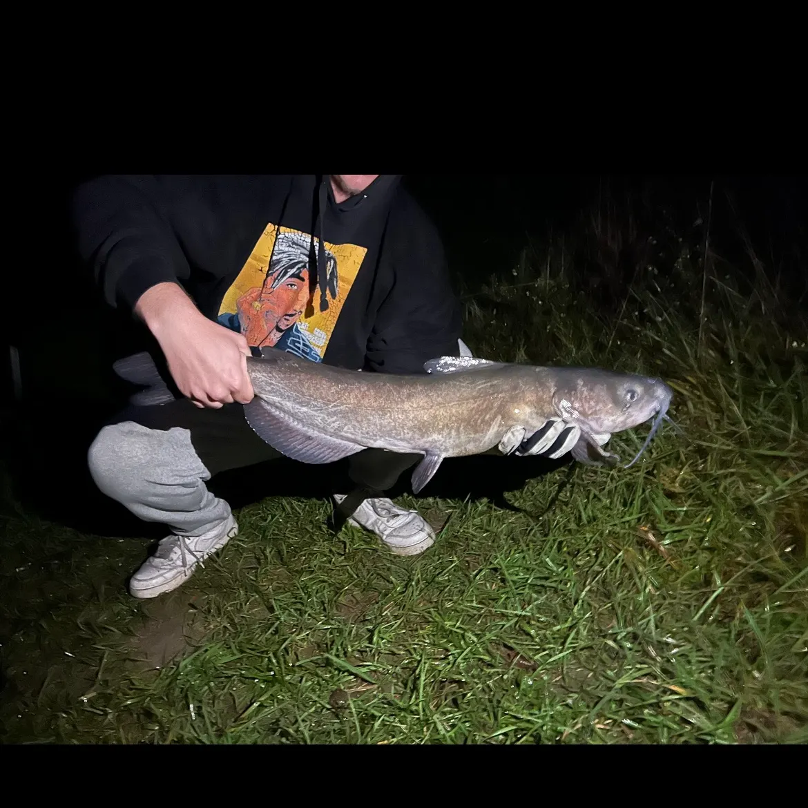 Channel catfish caught on Fishbrain