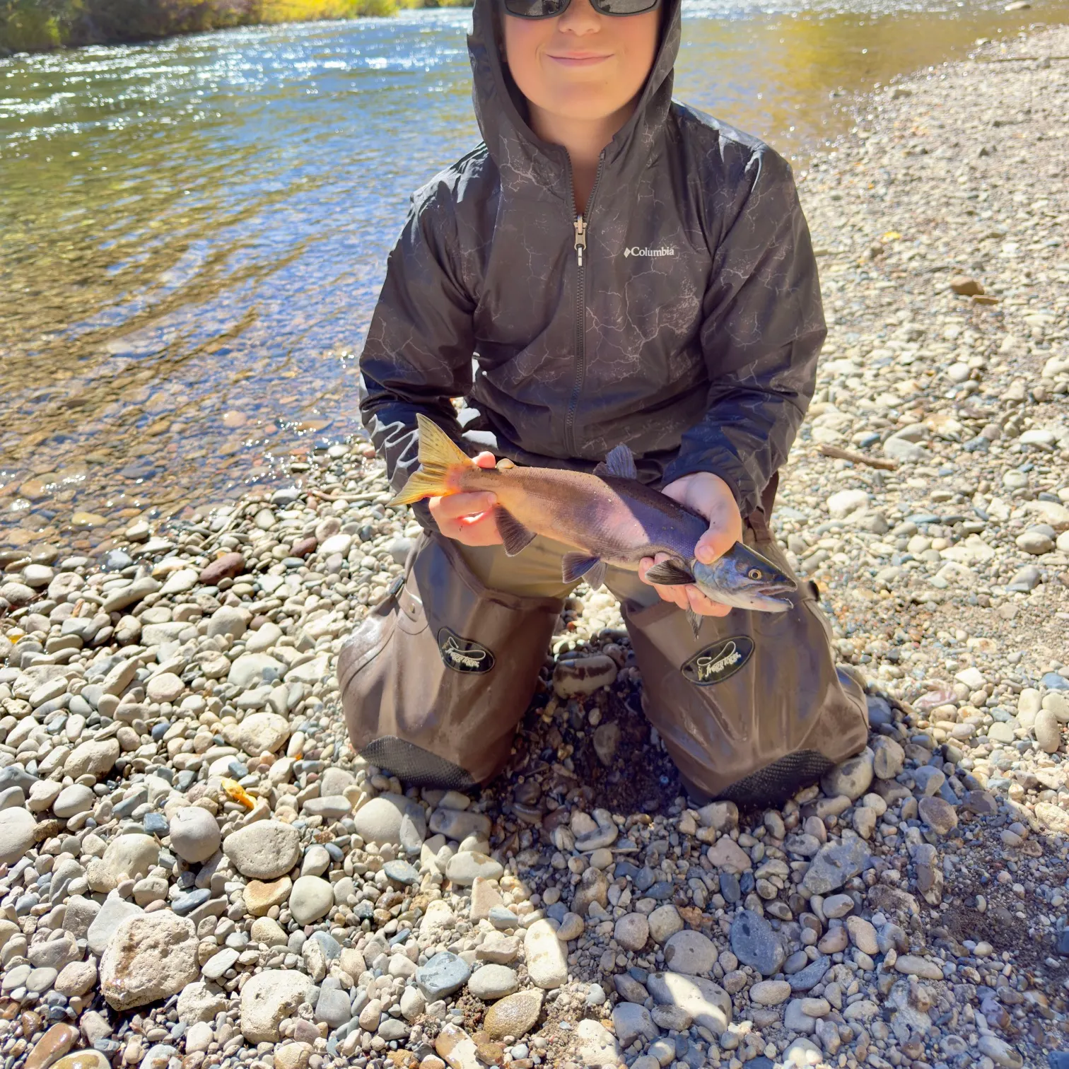 The most recent Kokanee salmon catches on Fishbrain