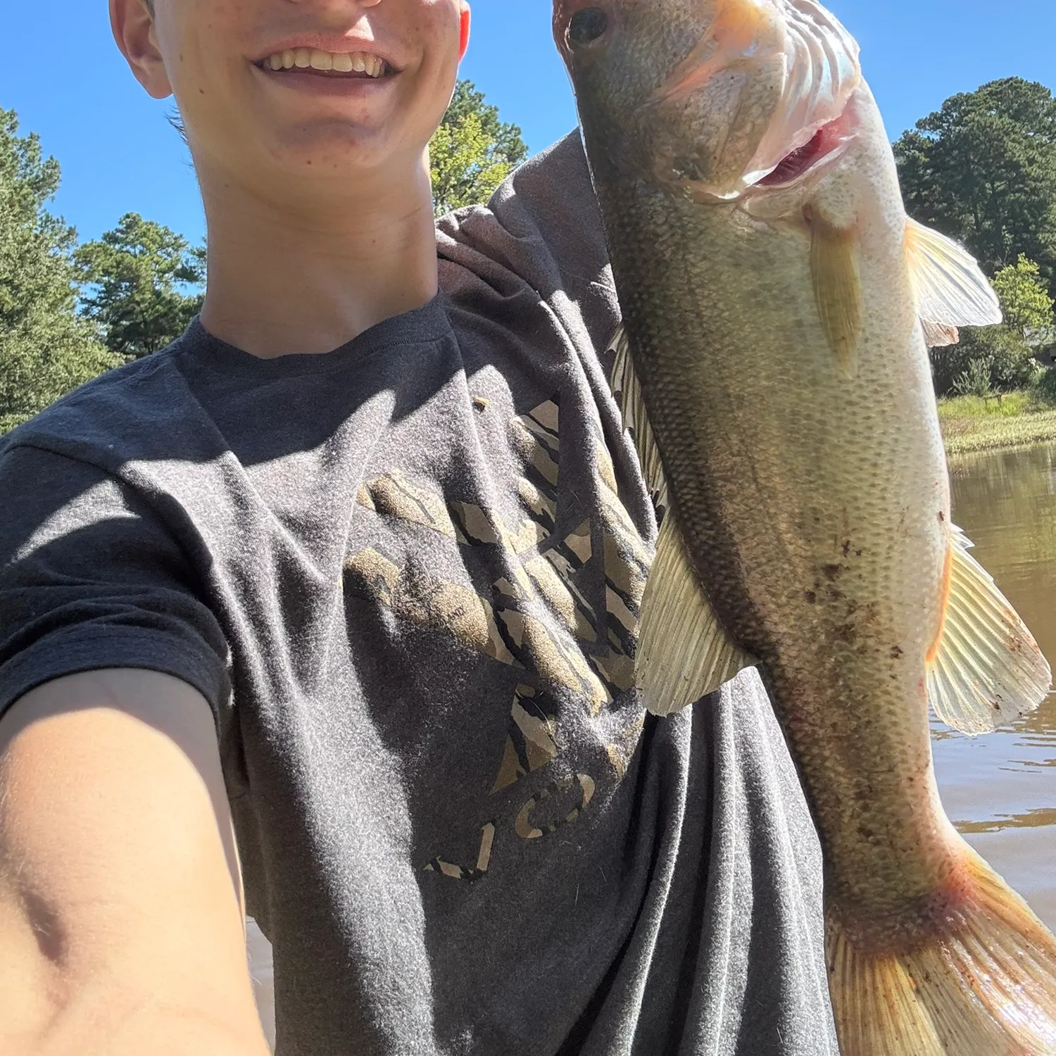 Largemouth bass caught on Fishbrain
