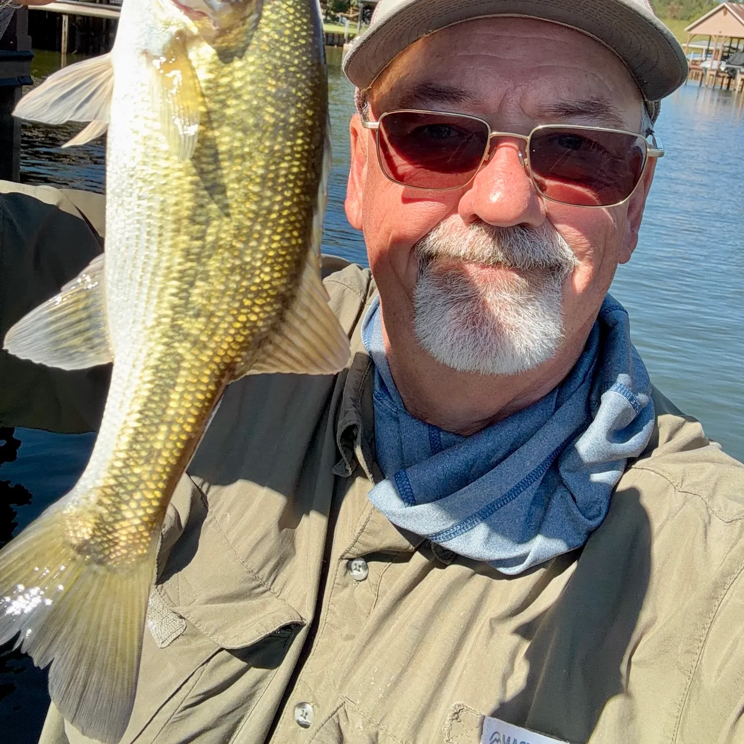 Spotted bass caught on Fishbrain