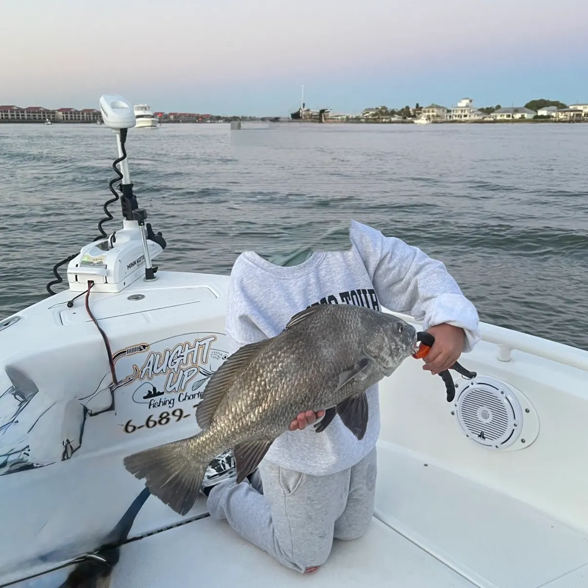 Black drum caught on Fishbrain