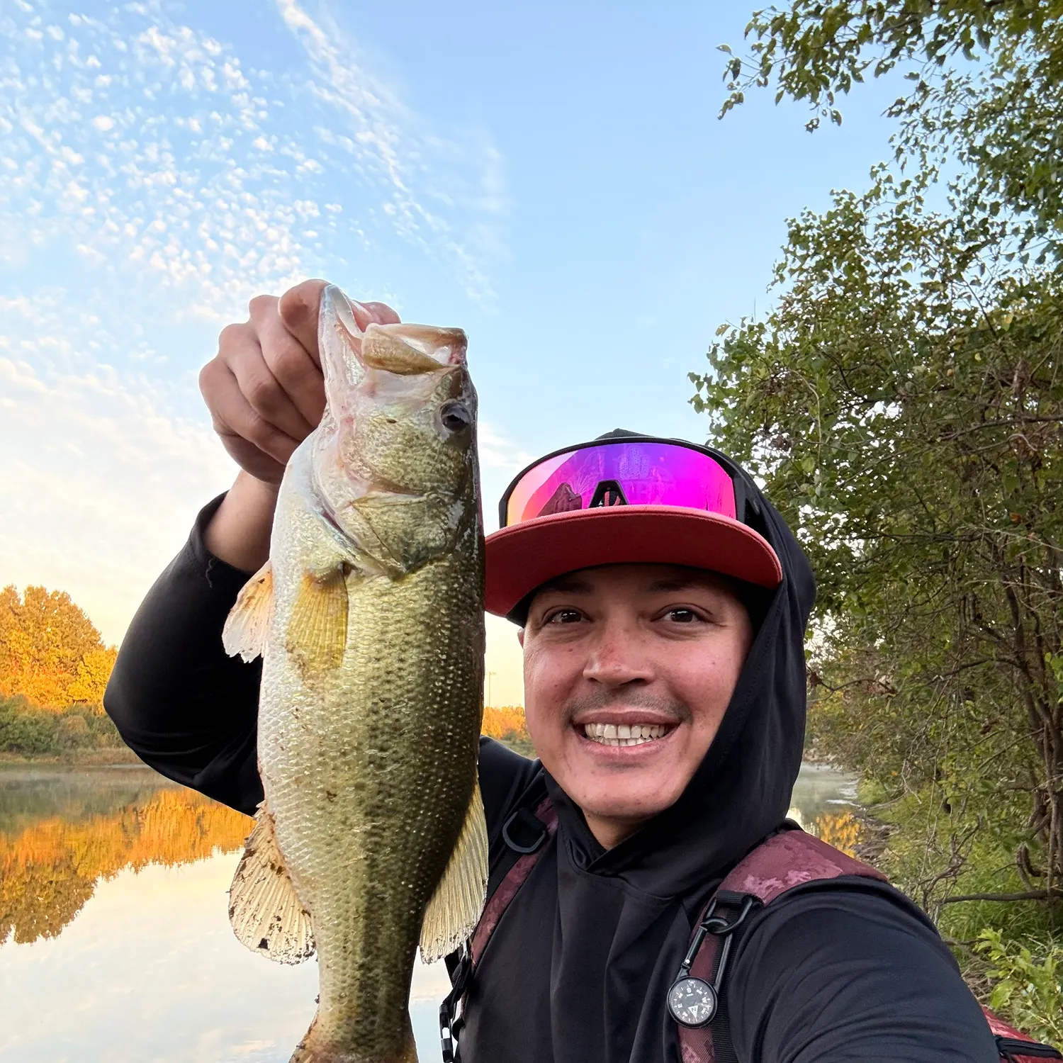 Largemouth bass caught on Fishbrain