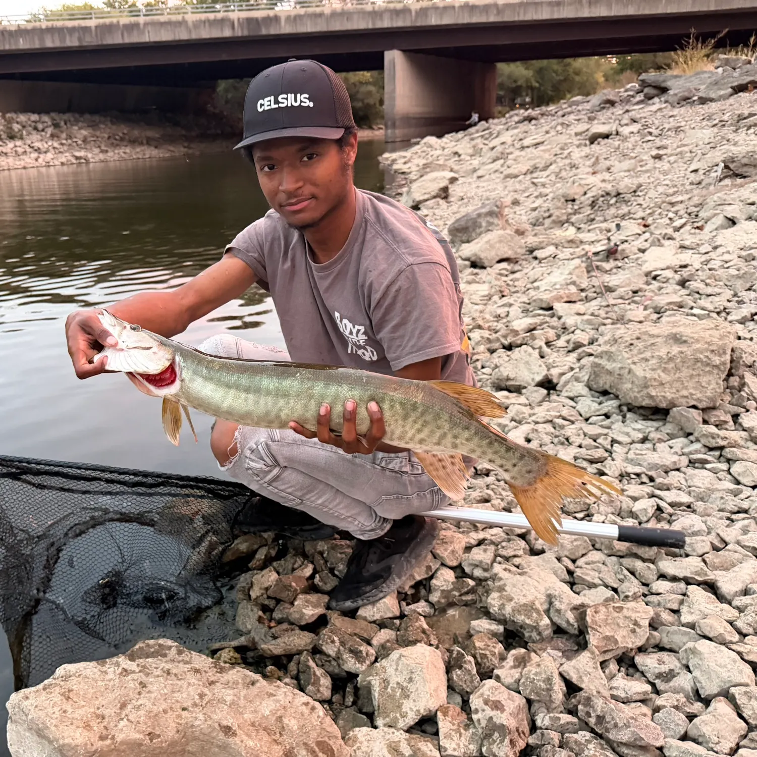 Muskie caught on Fishbrain