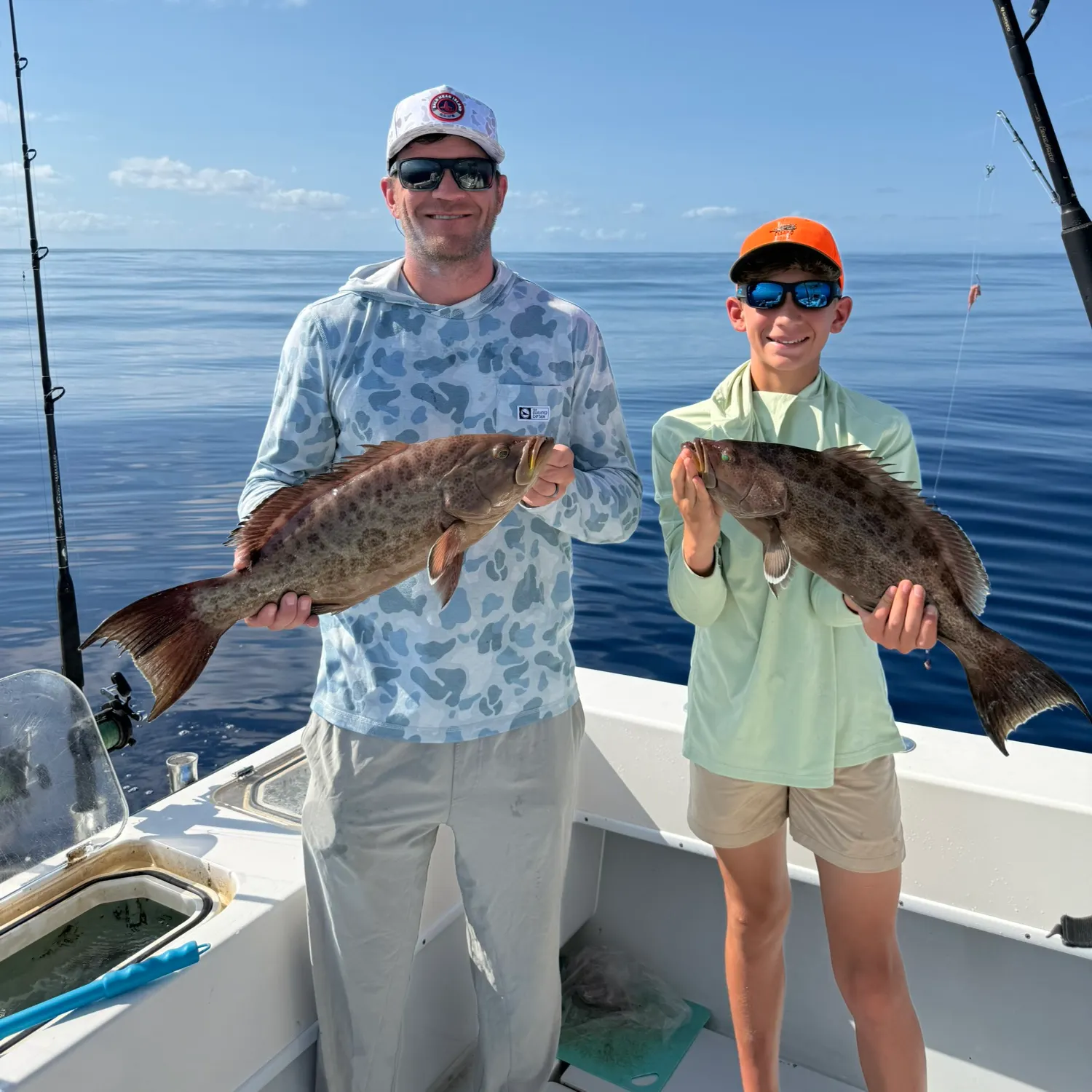 The most recent Scamp grouper catches on Fishbrain