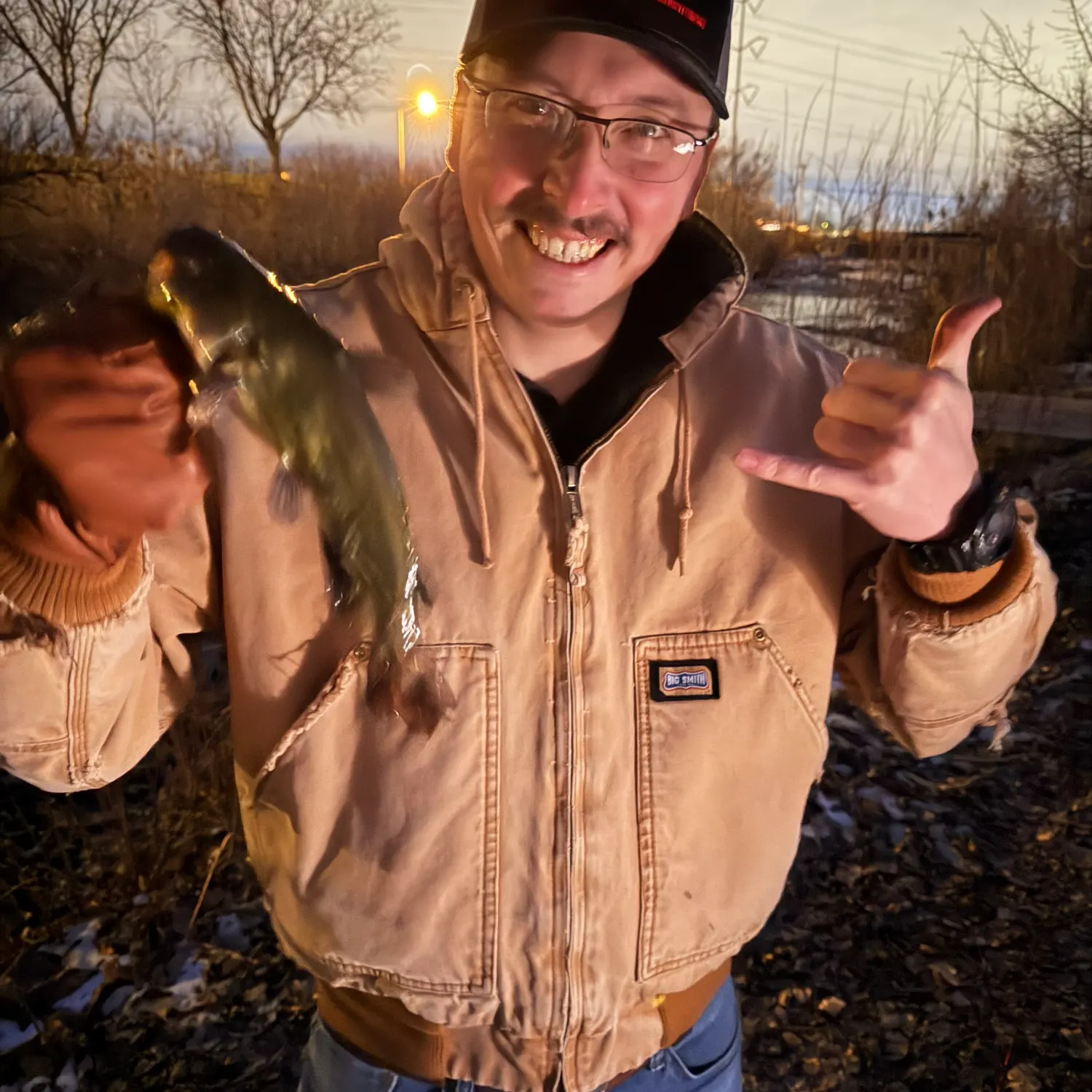The most recent Yellow bullhead catches on Fishbrain