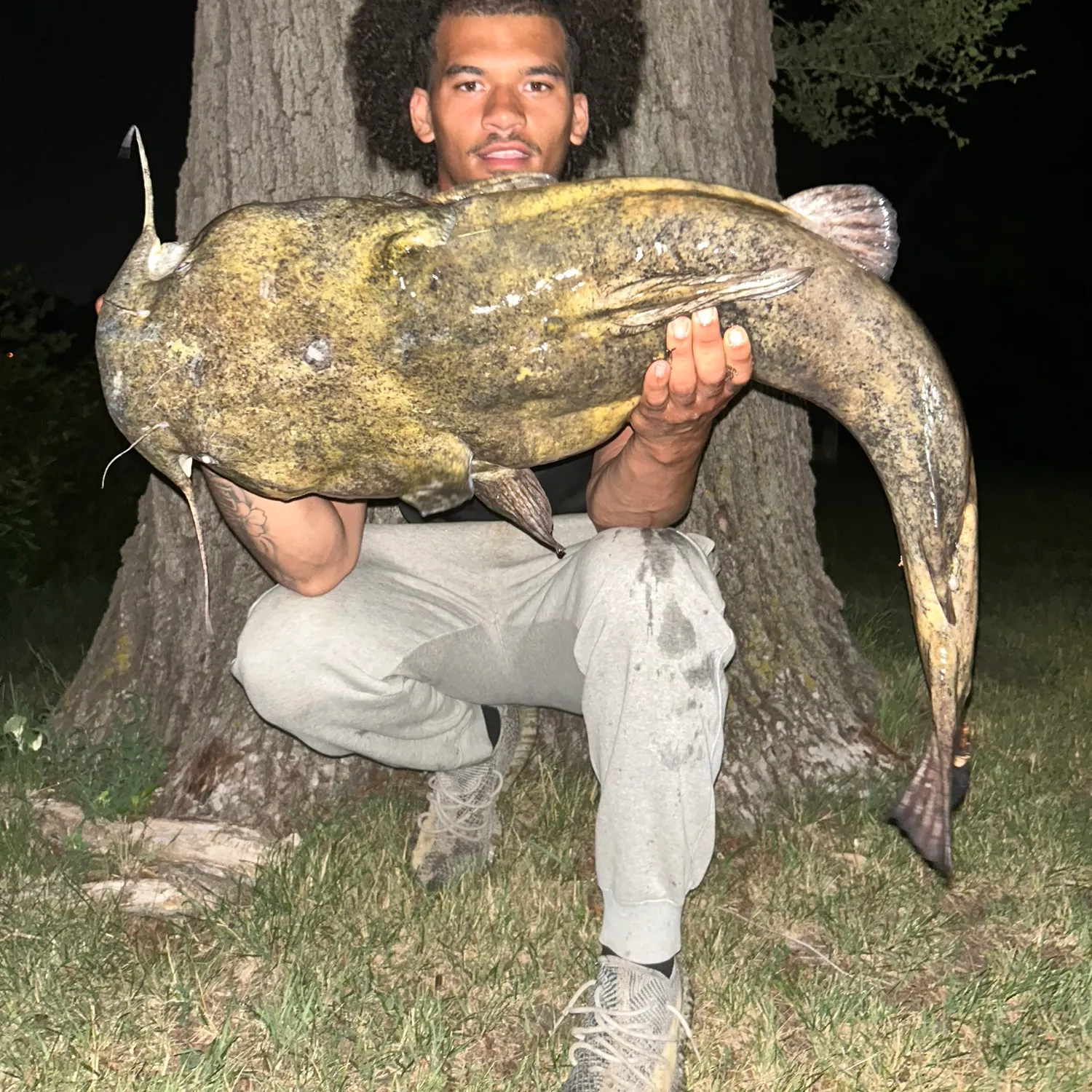 The most recent Flathead catfish catches on Fishbrain