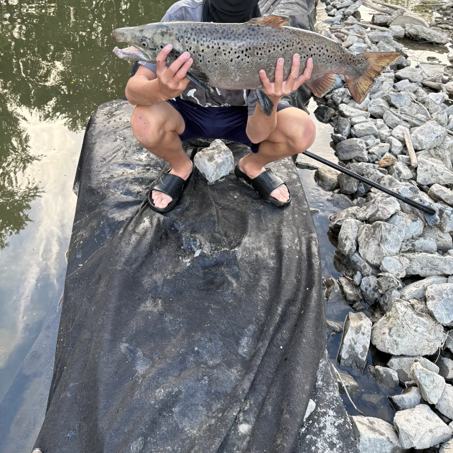Fish caught on Fishbrain