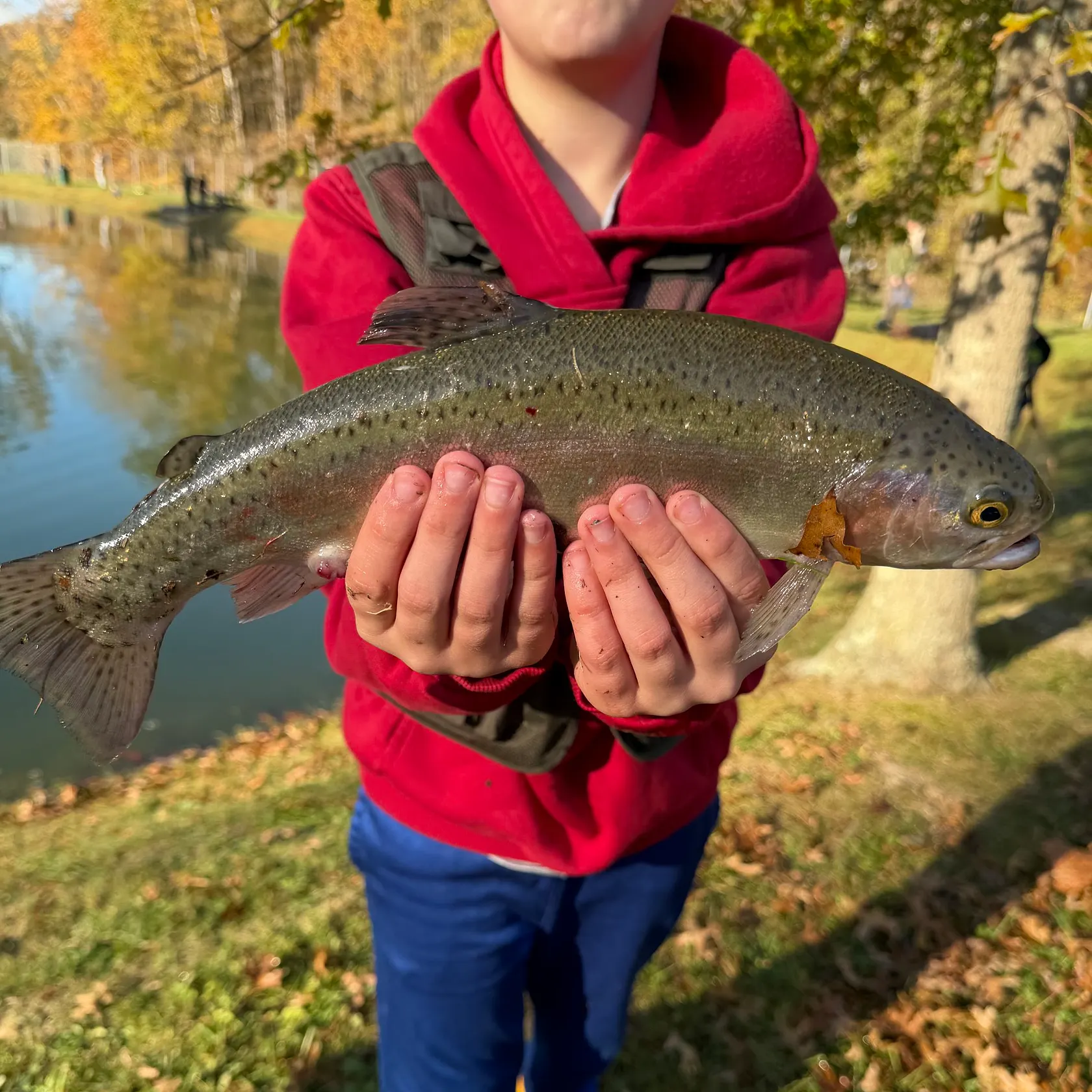 Rainbow trout caught on Fishbrain