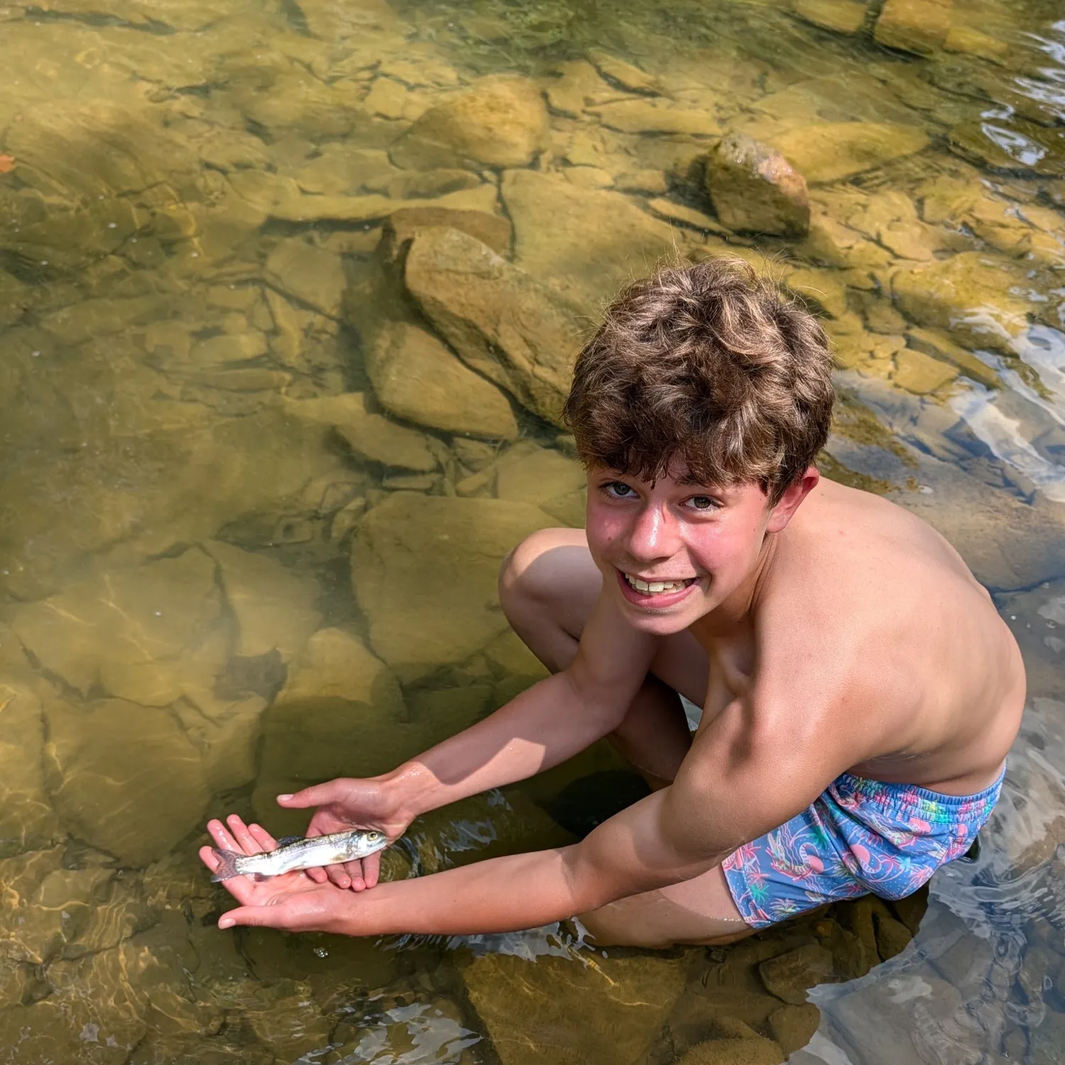 Rainbow trout caught on Fishbrain