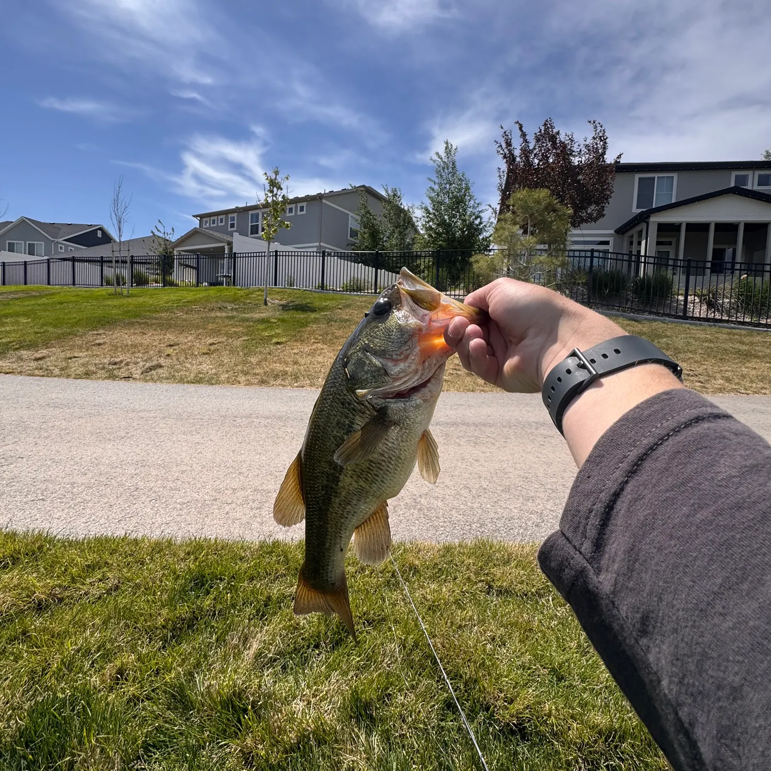 catch