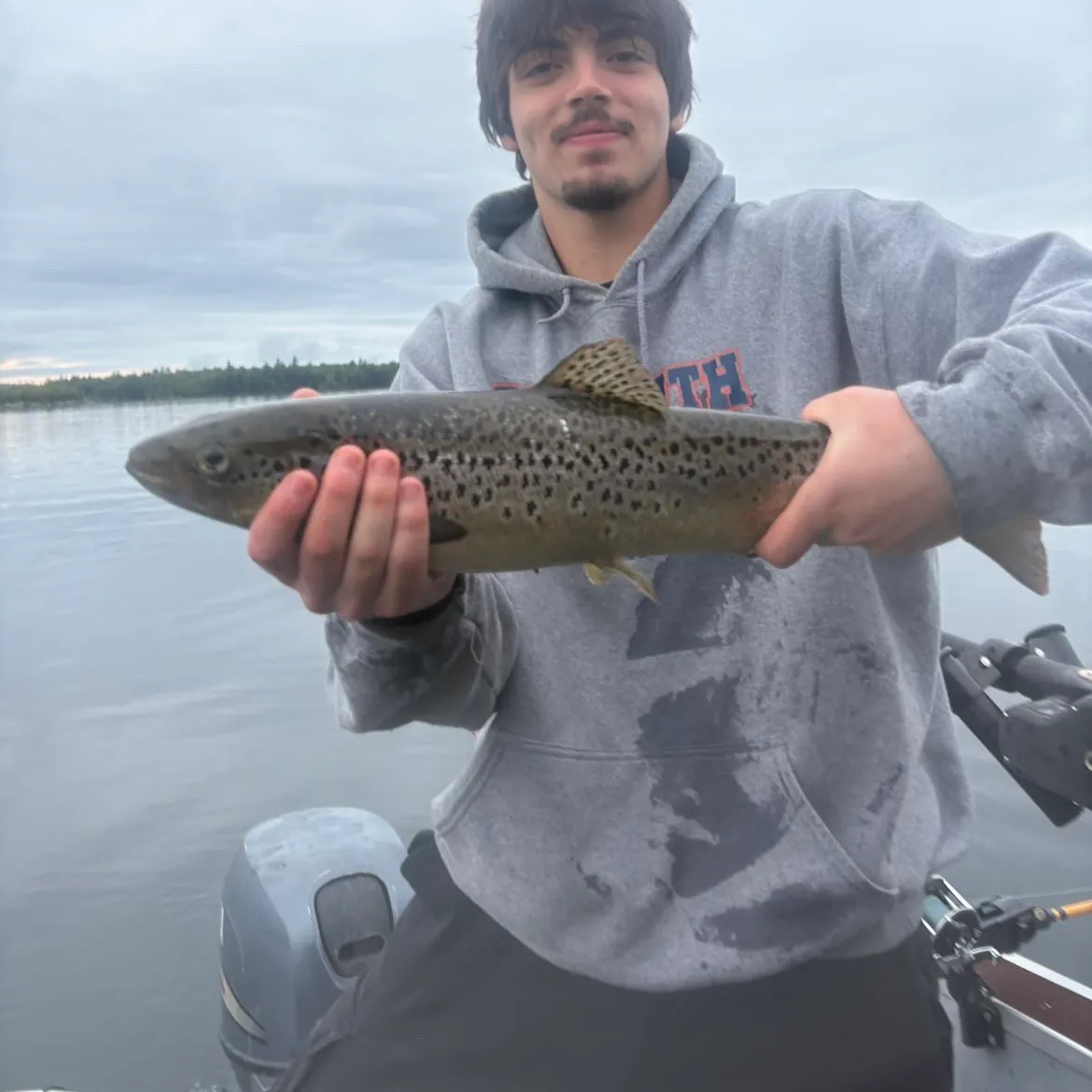 Atlantic salmon caught on Fishbrain