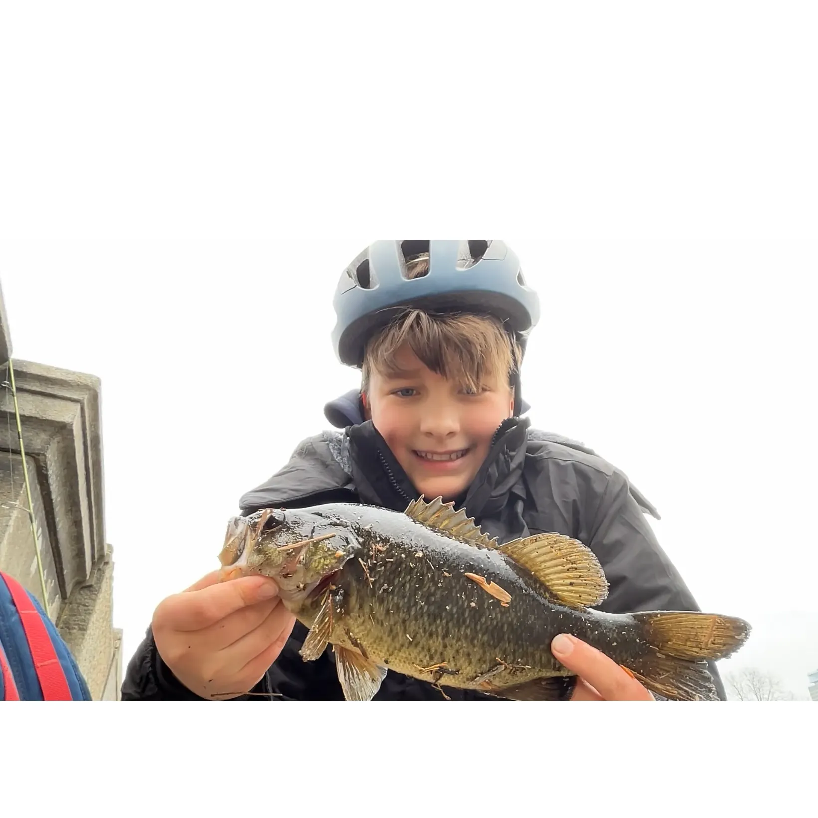 The most recent Meanmouth bass catches on Fishbrain