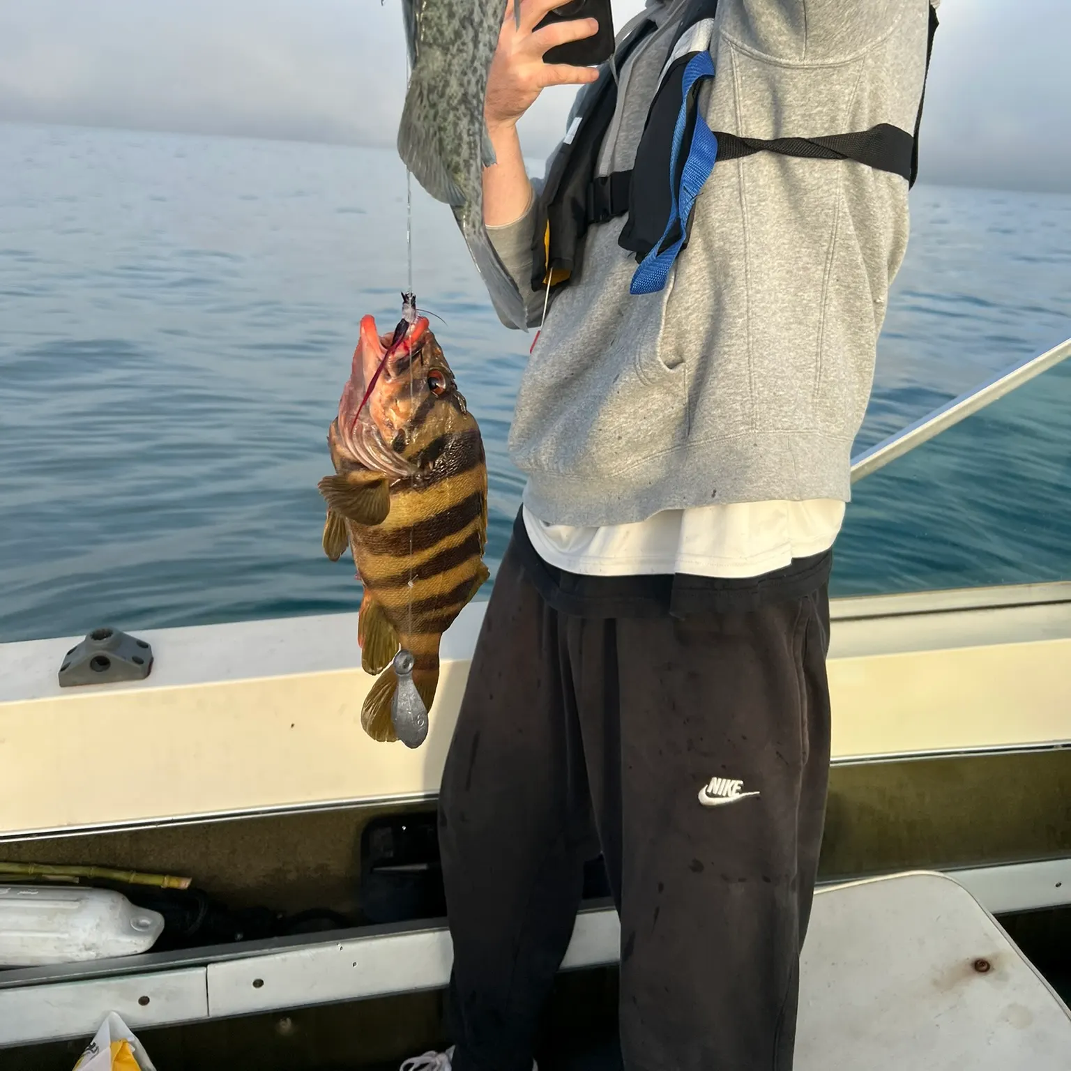 The most recent Treefish catches on Fishbrain