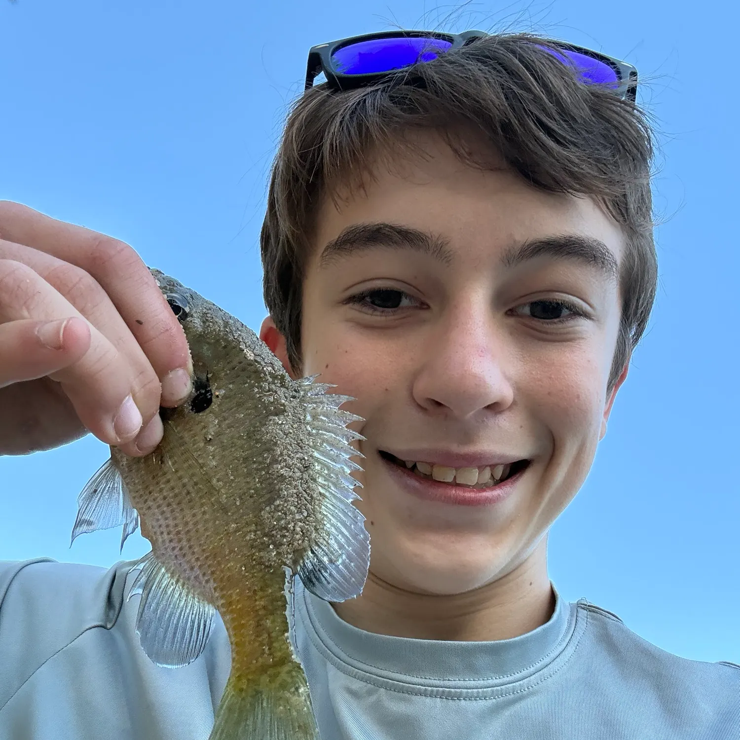 Bluegill caught on Fishbrain