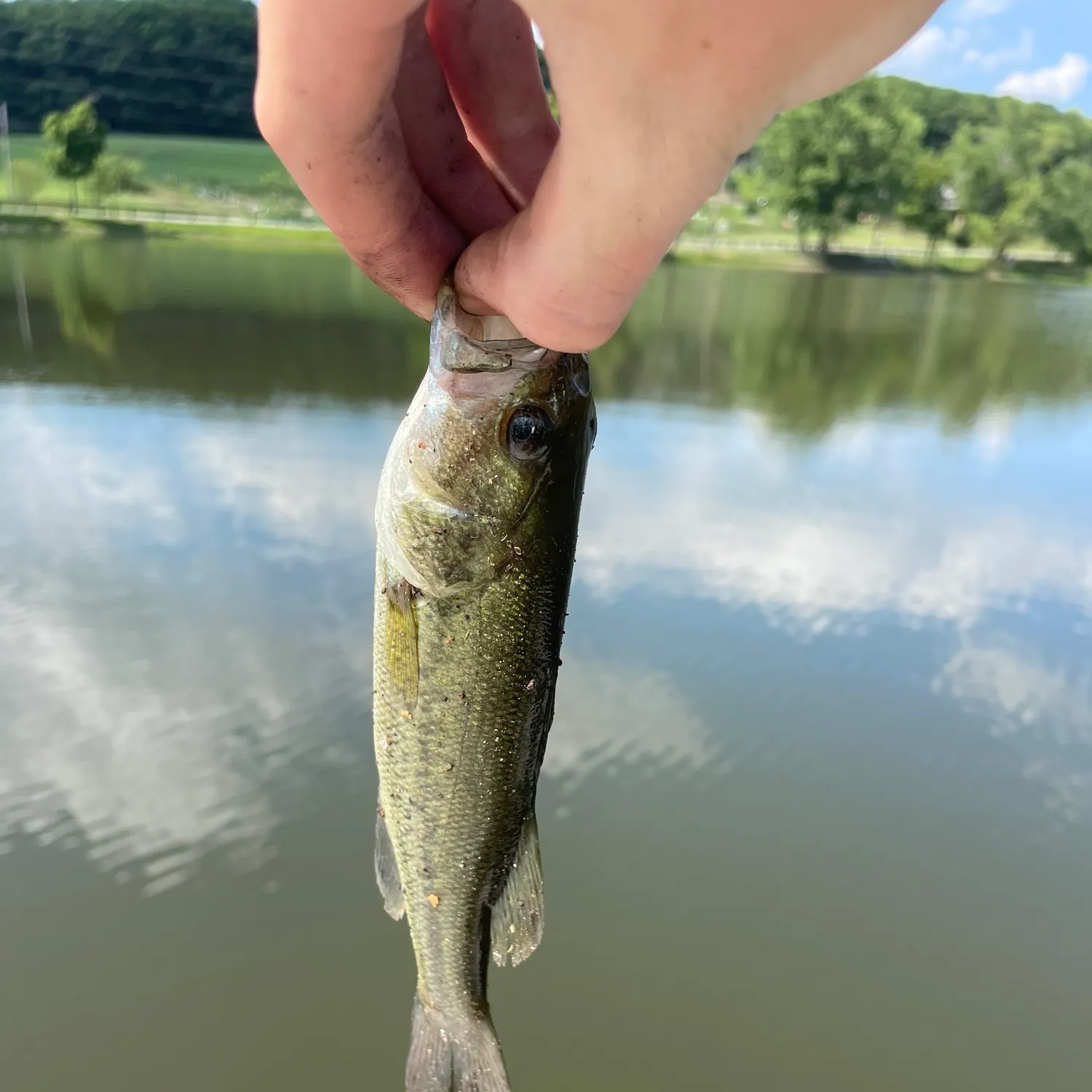 angler catch