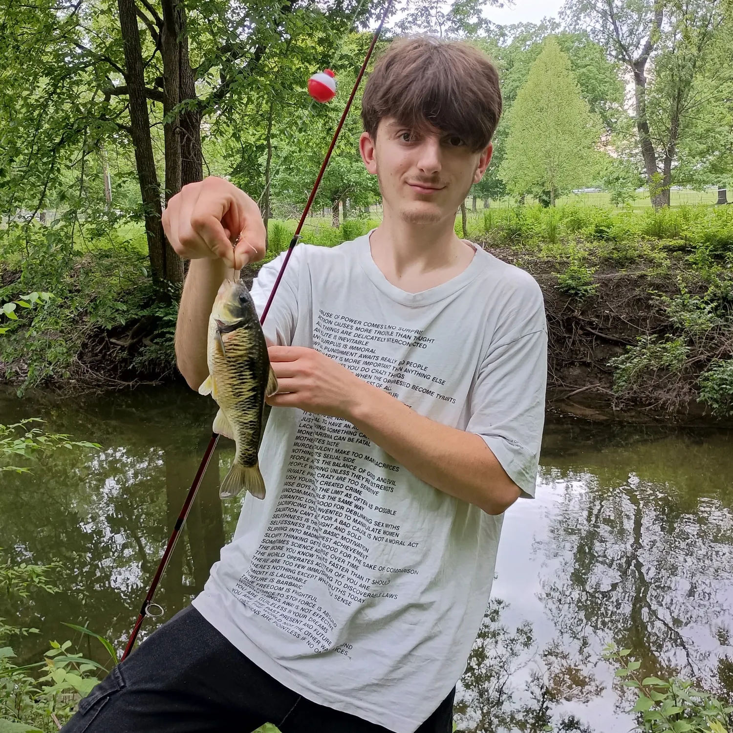 The most recent Striped shiner catches on Fishbrain